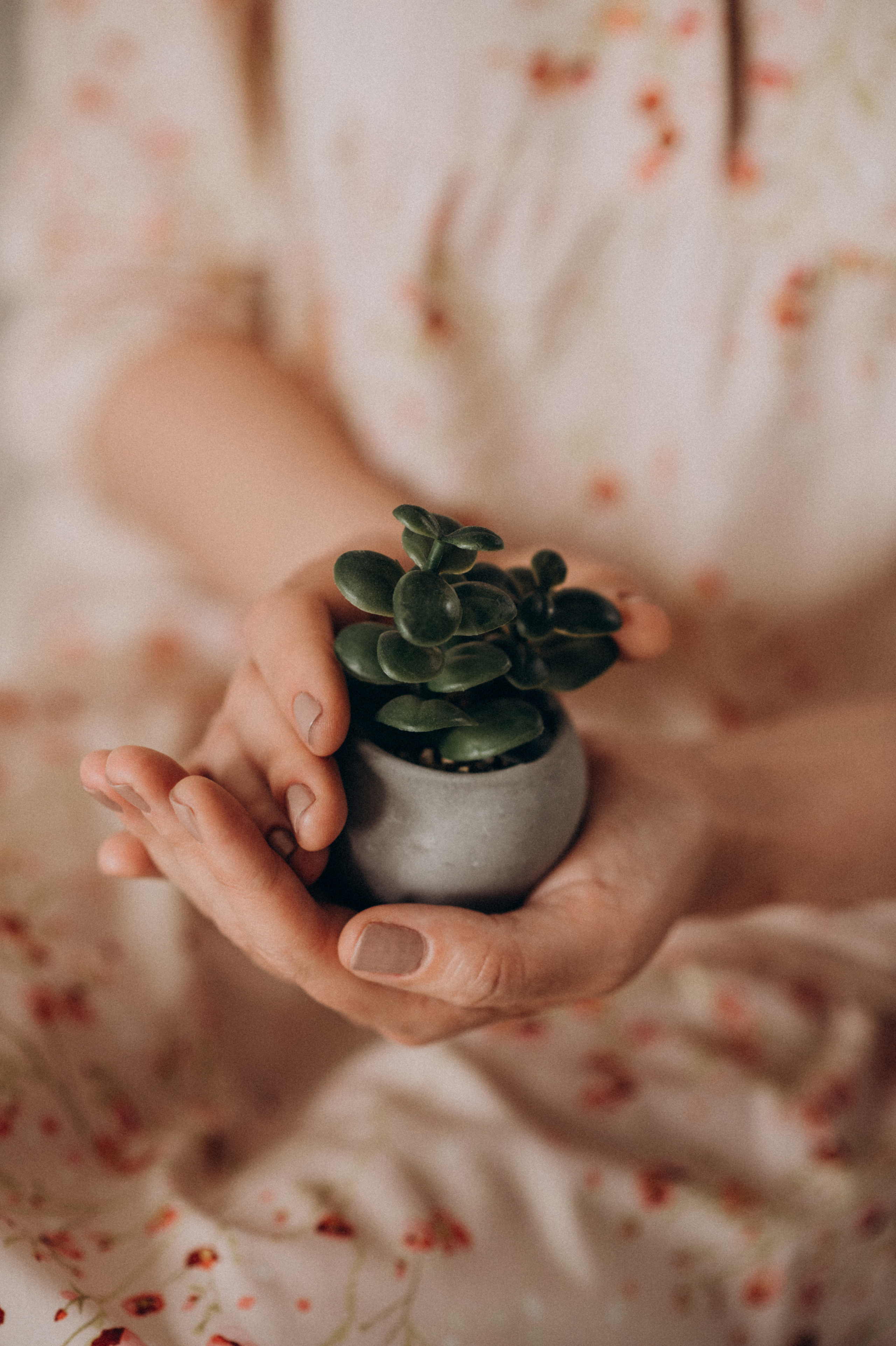 Контент-зйомка для психолога. Сімейний, дитячий та індивідуальний фотограф в м. Тернопіль, м. Львів