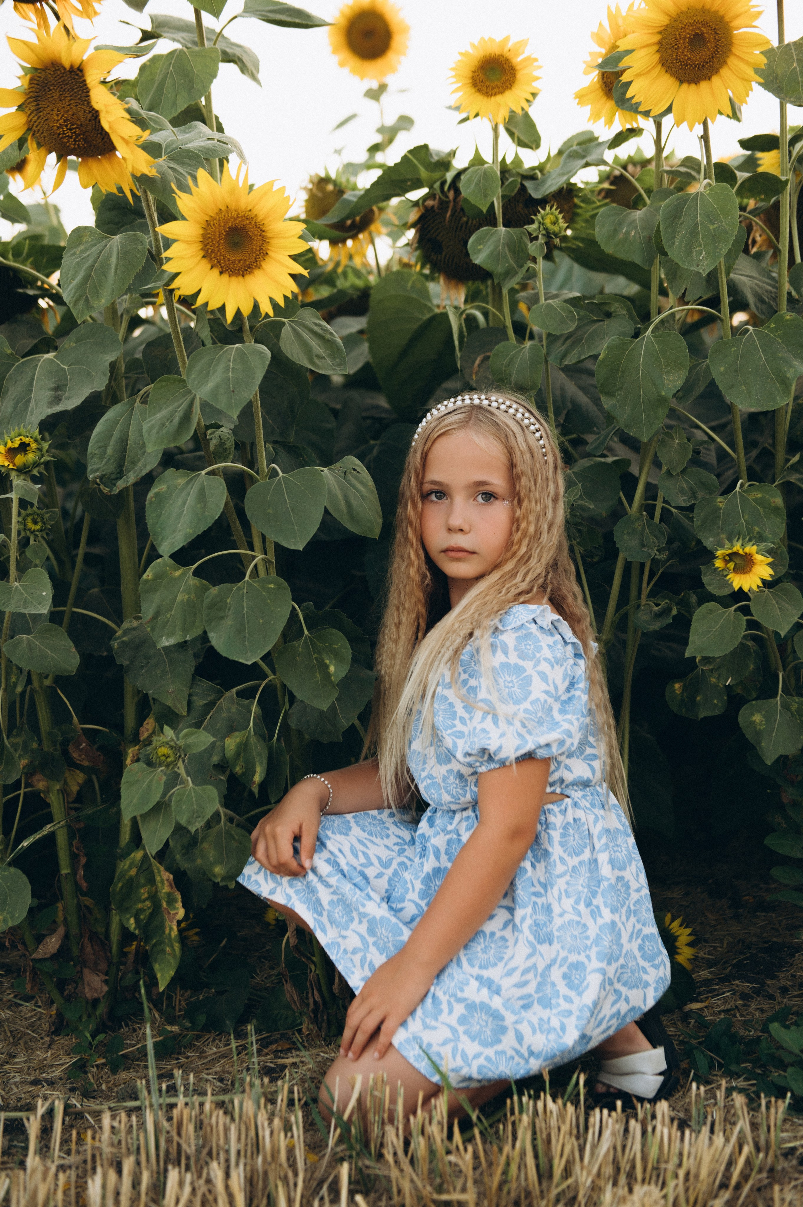 Фотосесія у соняшниках, дитячий фотограф Тернопіль, сімейний фотограф Тернопіль, дитяча фотосесія, фотосесія в полі, зйомка дітей. Сімейний, дитячий та індивідуальний фотограф в м. Тернопіль, м. Львів