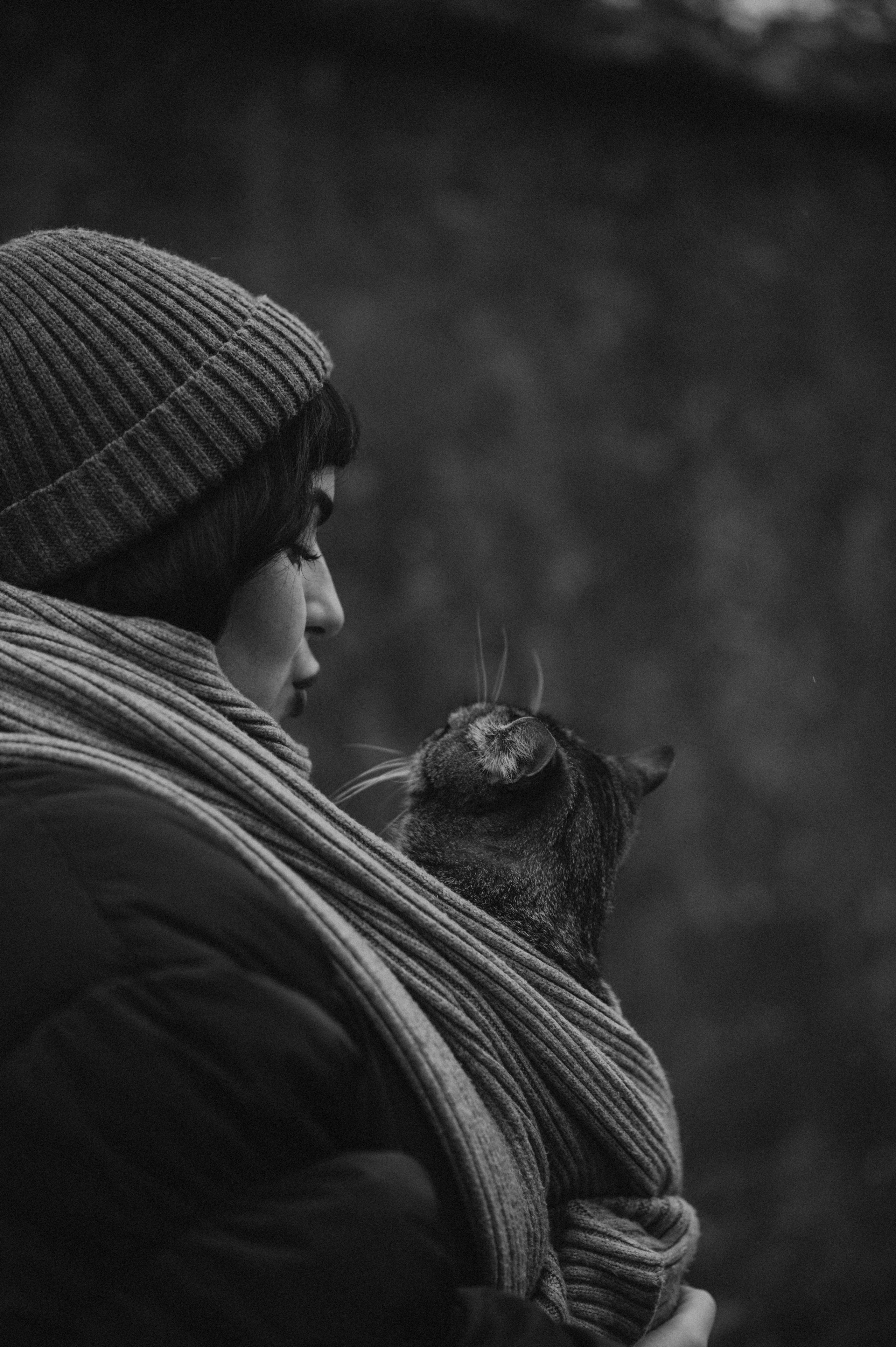 Фотосесія з котиком. Сімейний, дитячий та індивідуальний фотограф в м. Тернопіль, м. Львів