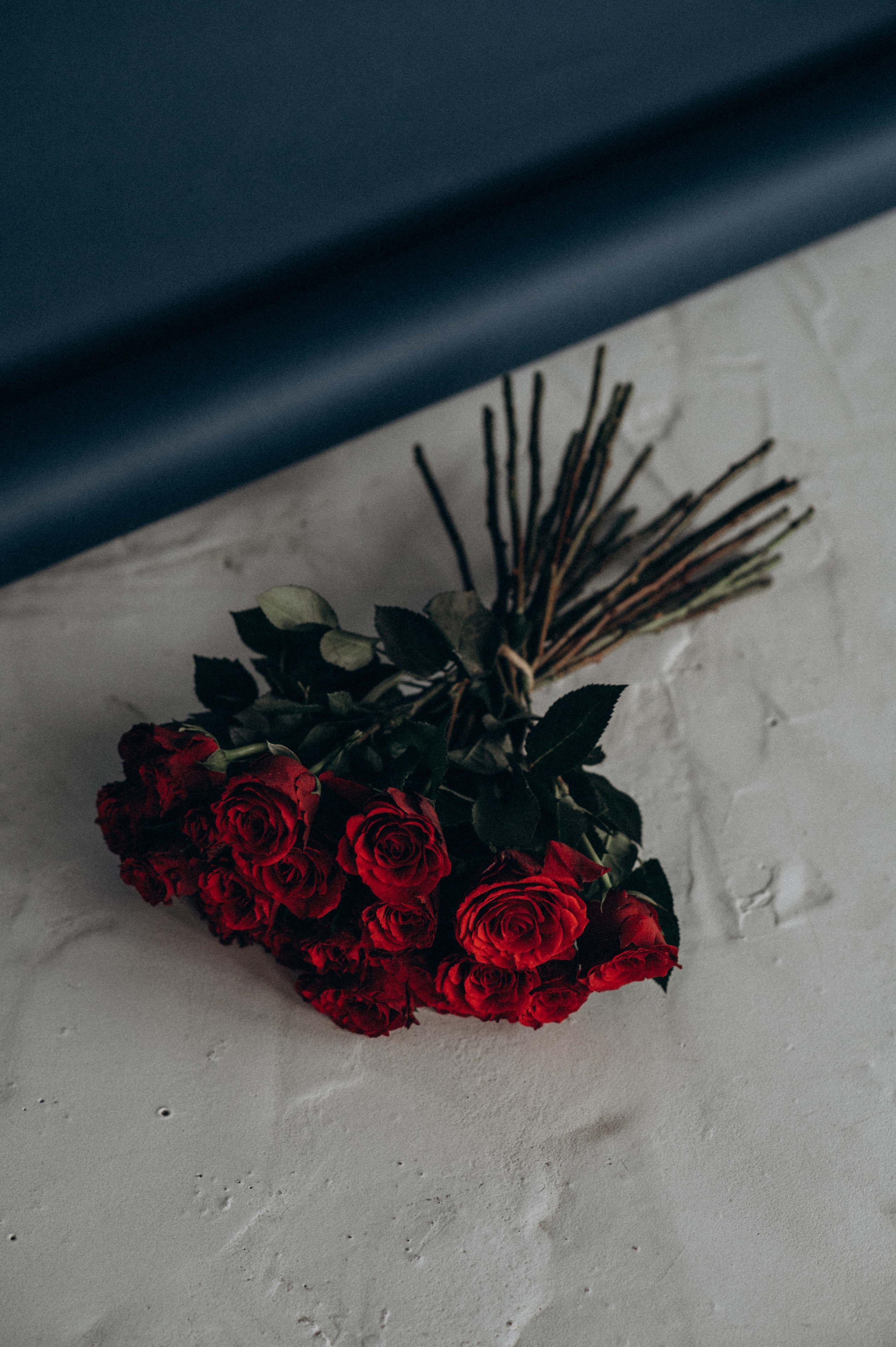 Olena індивідуальна фотосесія Тернопіль Львів, індивідуальний фотограф. Сімейний, дитячий та індивідуальний фотограф в м. Тернопіль, м. Львів