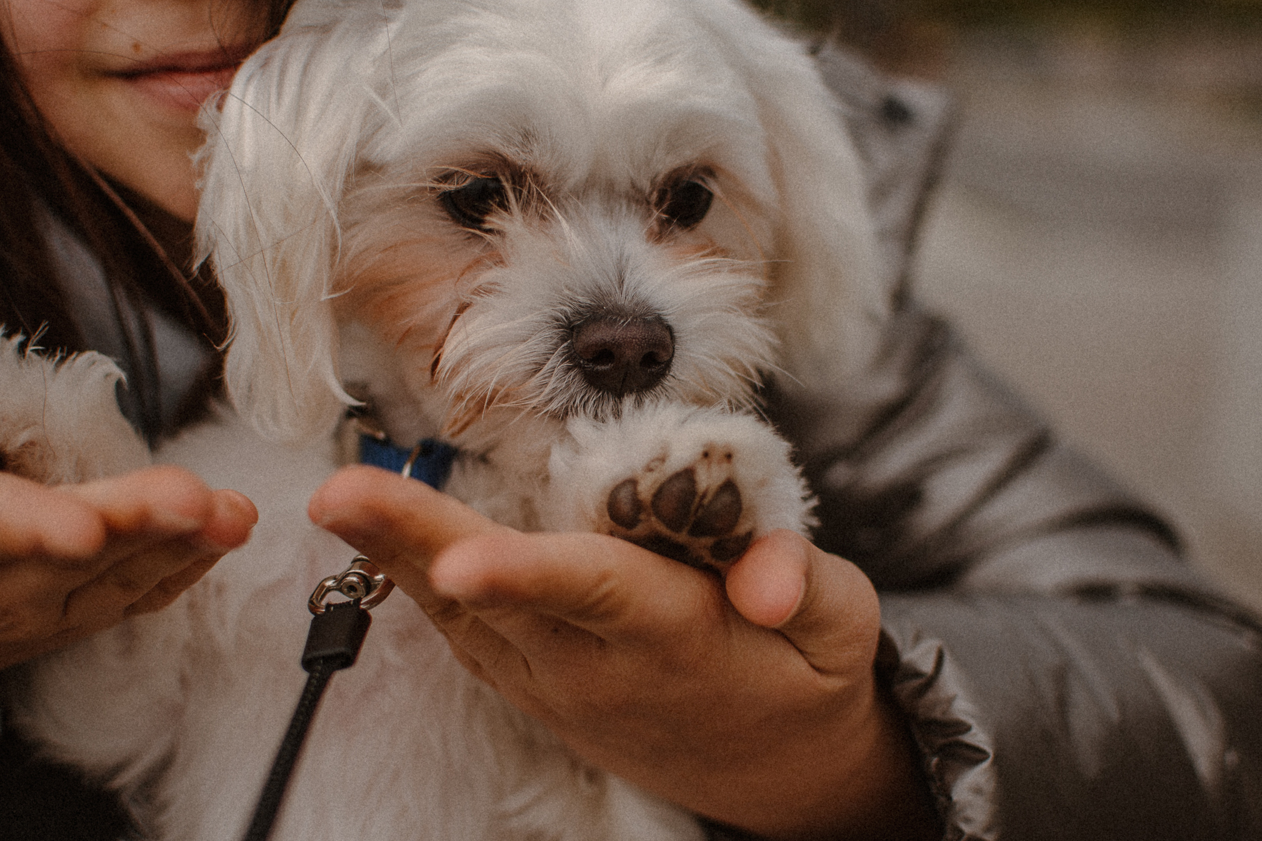 Yana. Сімейний, дитячий та індивідуальний фотограф в м. Тернопіль, м. Львів