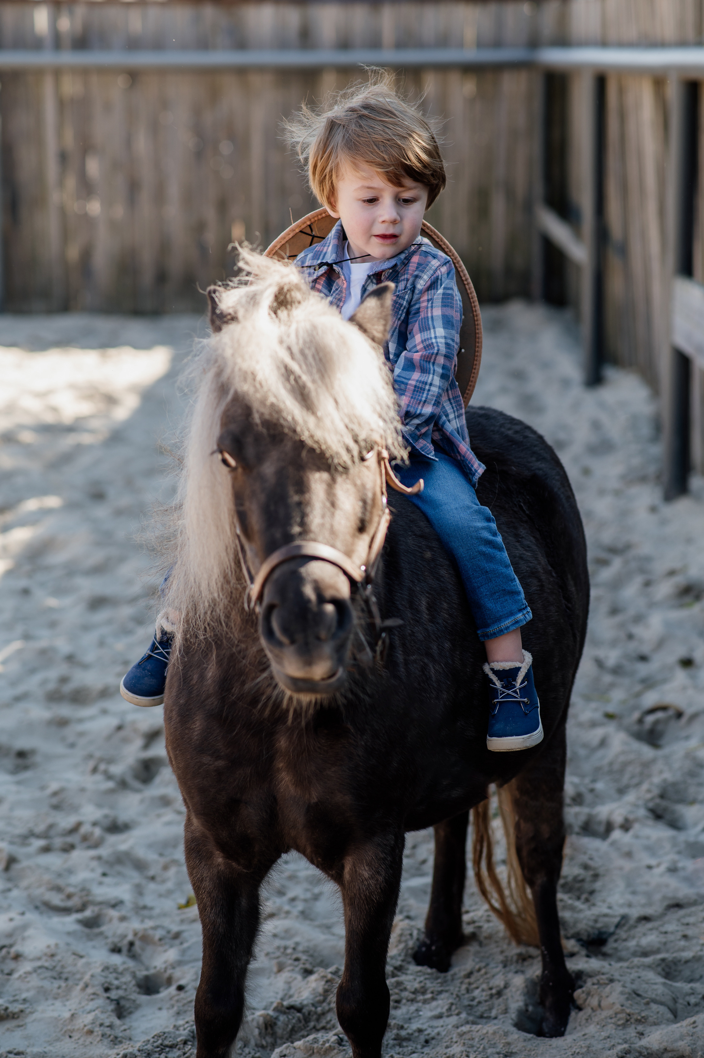 Сімейна фотосесія з кониками. Тернопіль. Сімейний, дитячий та індивідуальний фотограф в м. Тернопіль, м. Львів