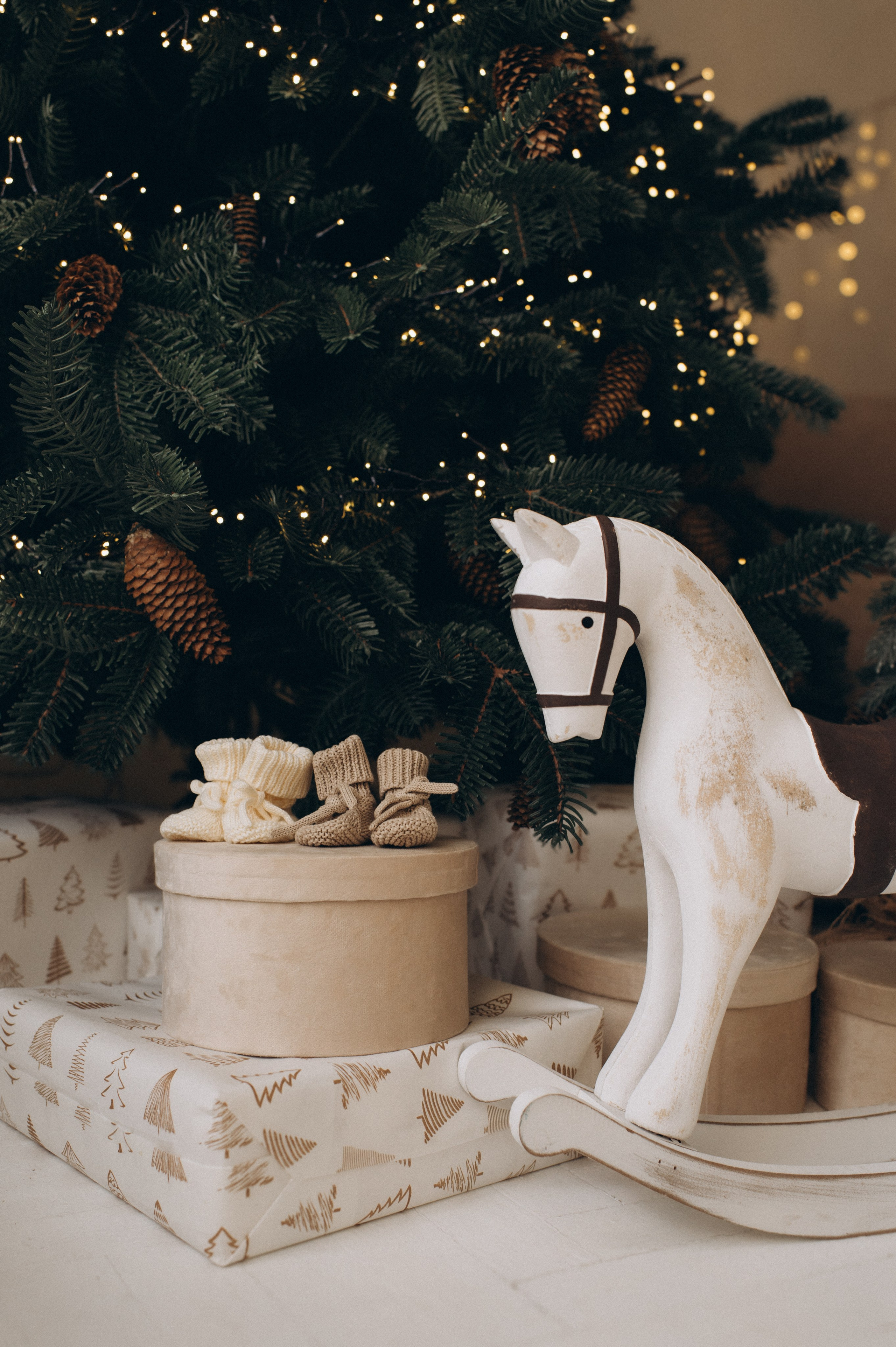 Фотосесія вагітності Тернопіль, зйомка вагітних, фотограф вагітності Тернопіль, сімейний фотограф Тернопіль. Сімейний, дитячий та індивідуальний фотограф в м. Тернопіль, м. Львів