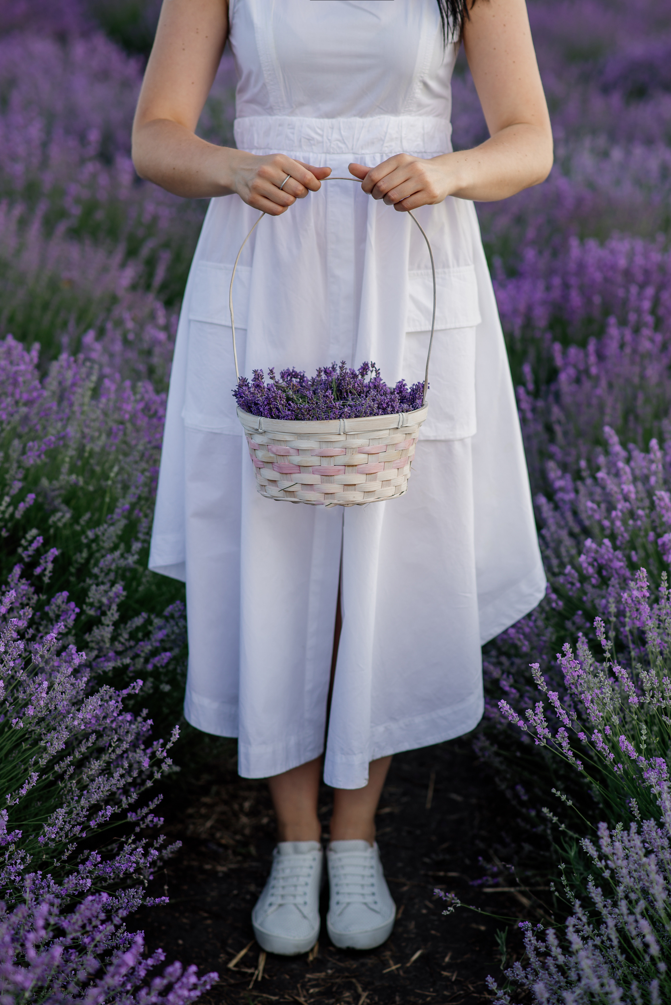 Фотосесія в лаванді. Лілія. Сімейний, дитячий та індивідуальний фотограф в м. Тернопіль, м. Львів