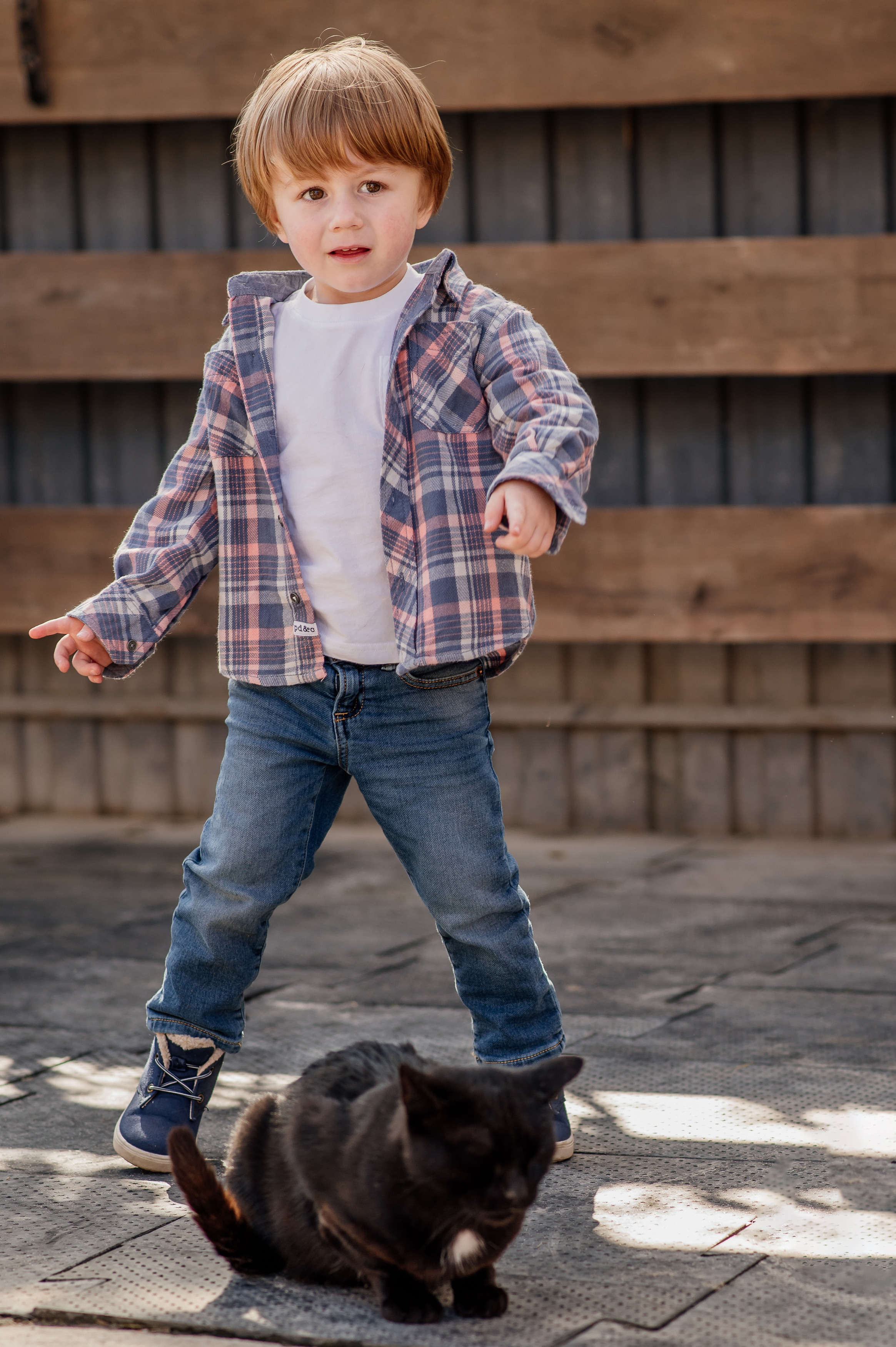 Сімейна фотосесія з кониками. Тернопіль. Сімейний, дитячий та індивідуальний фотограф в м. Тернопіль, м. Львів
