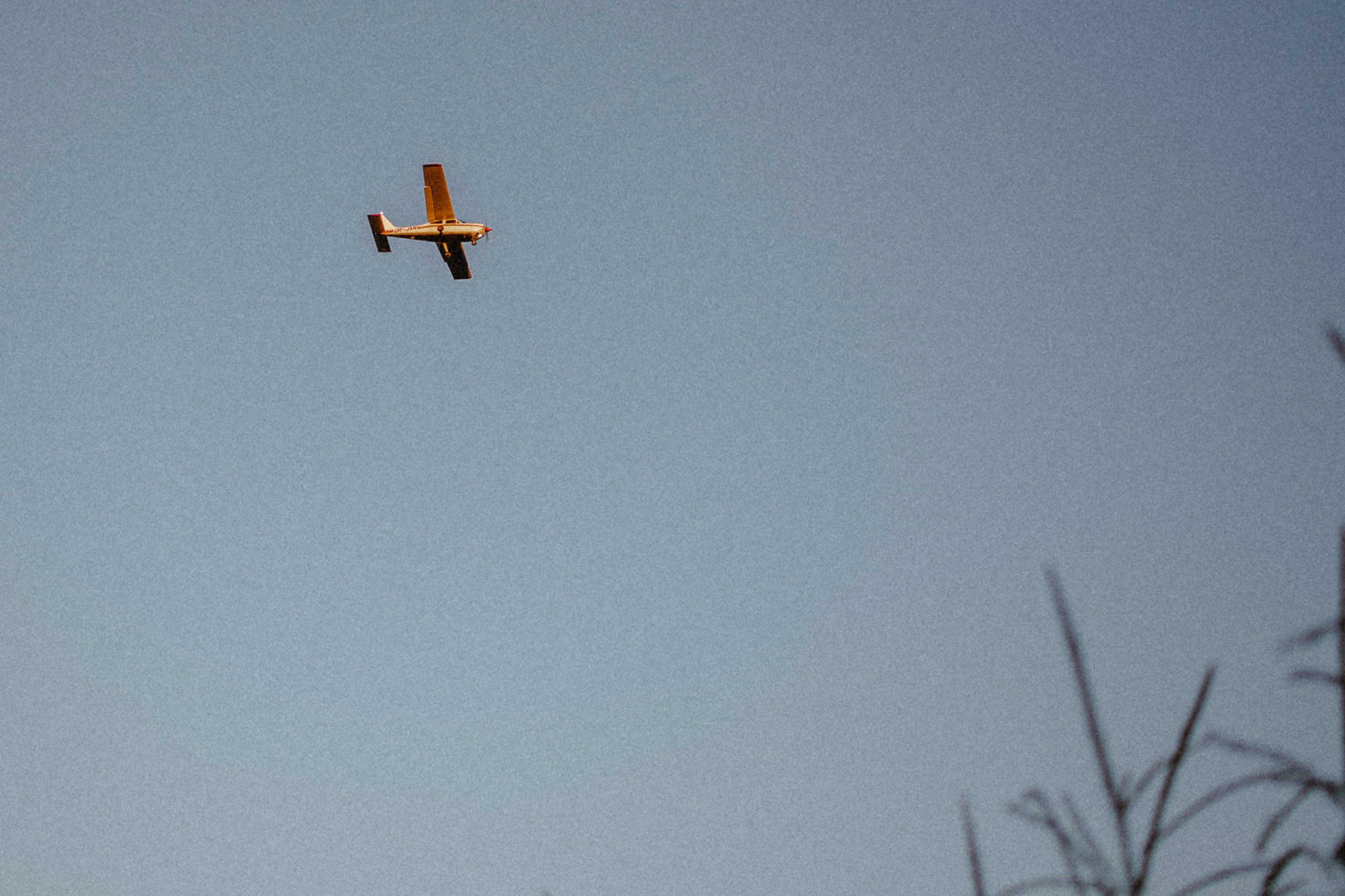 Індивідуальна фотосесія. Тернопіль. Сімейний, дитячий та індивідуальний фотограф в м. Тернопіль, м. Львів
