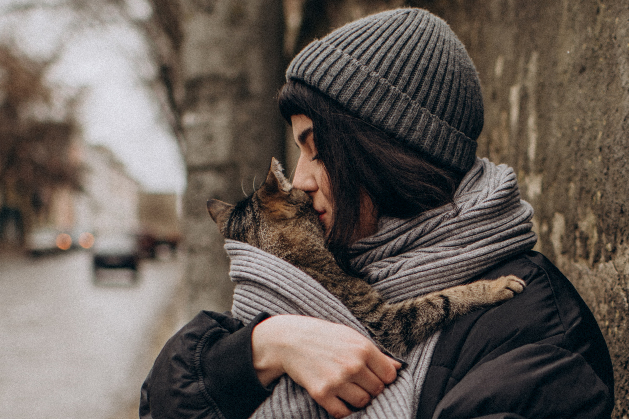 Фотосесія з котиком. Сімейний, дитячий та індивідуальний фотограф в м. Тернопіль, м. Львів