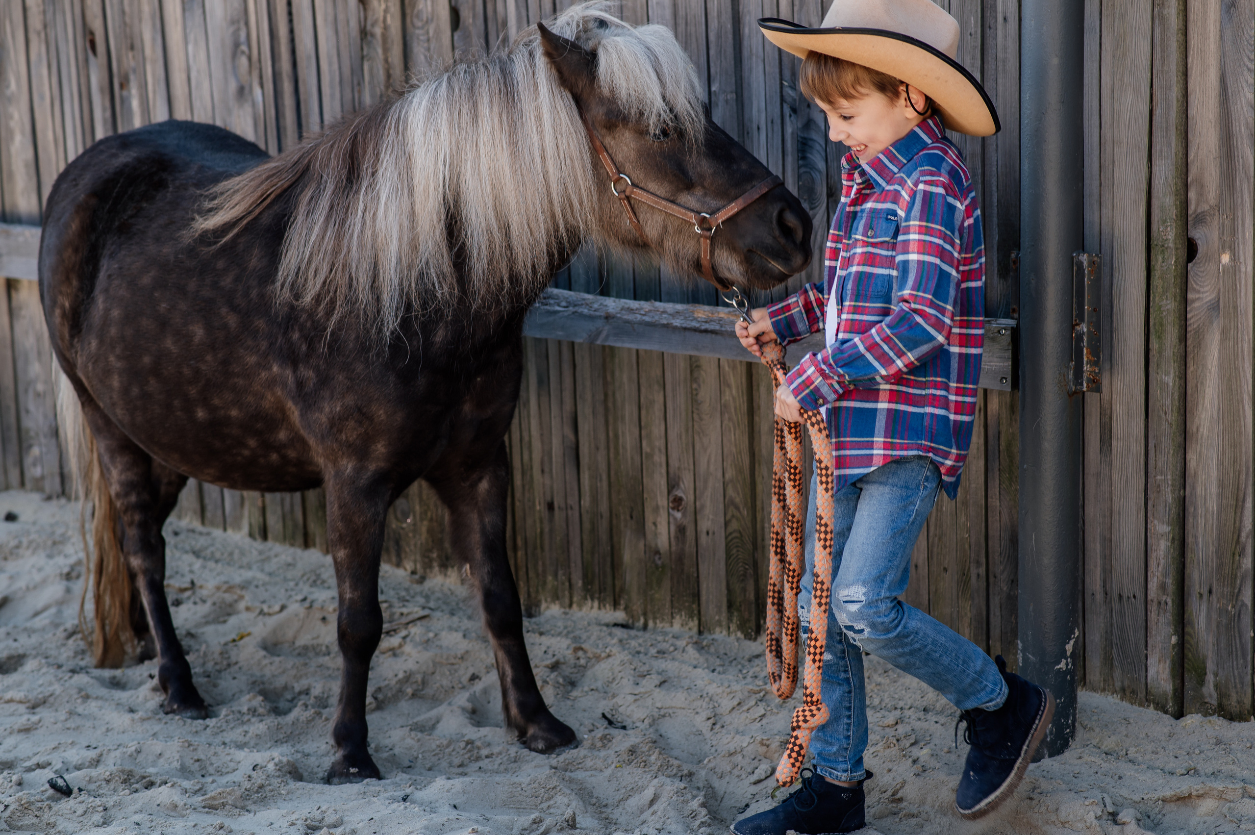 Сімейна фотосесія з кониками. Тернопіль. Сімейний, дитячий та індивідуальний фотограф в м. Тернопіль, м. Львів