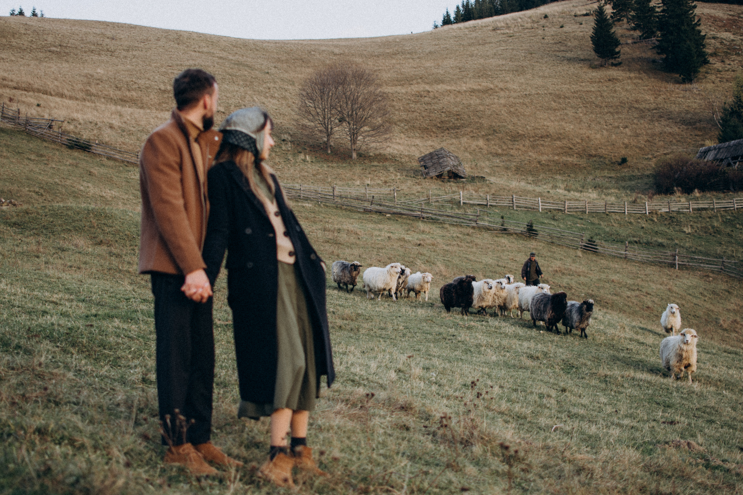 Love story in Carpathians. Сімейний, дитячий та індивідуальний фотограф в м. Тернопіль, м. Львів