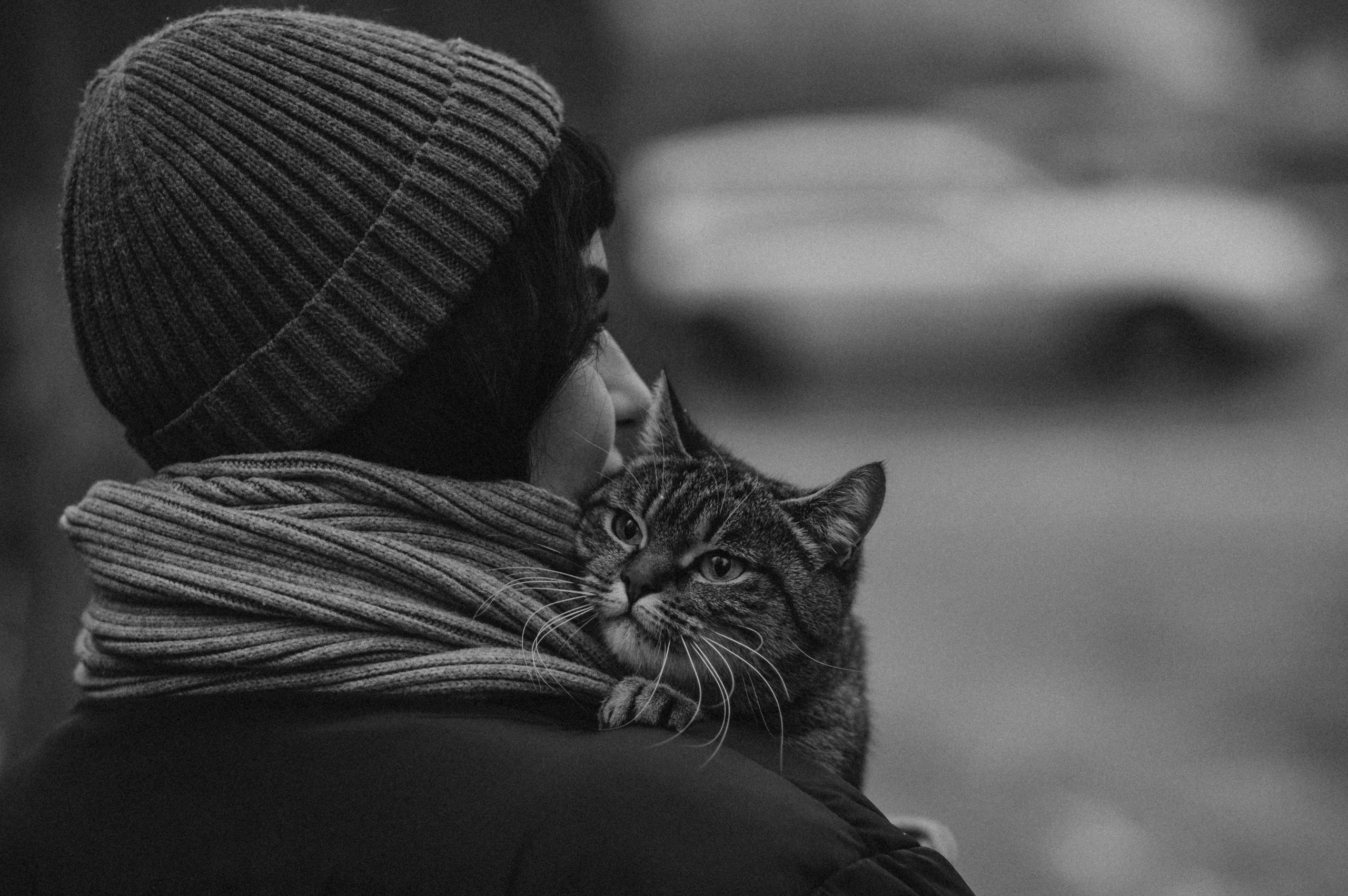 Фотосесія з котиком. Сімейний, дитячий та індивідуальний фотограф в м. Тернопіль, м. Львів