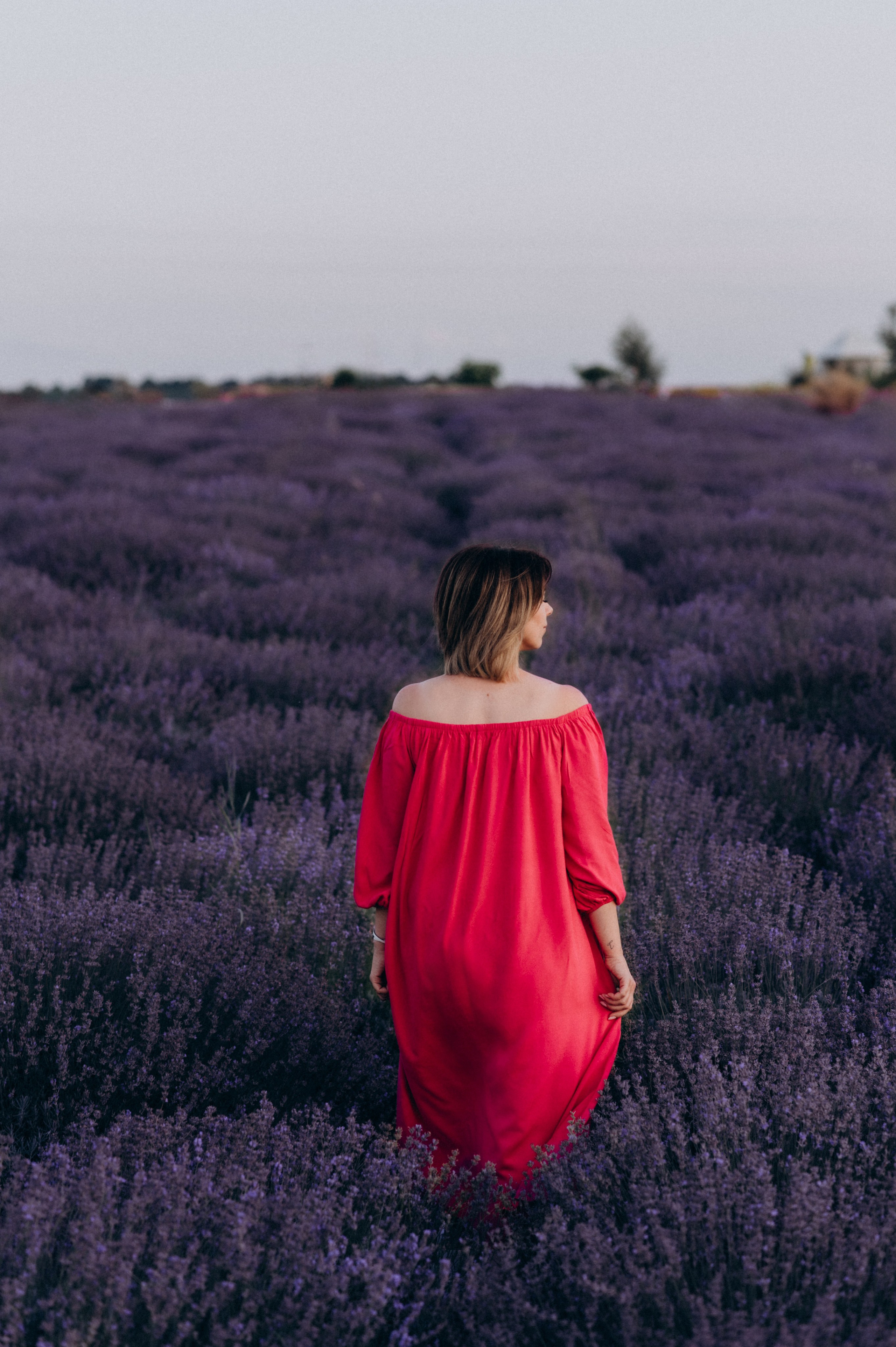 Сімейна фотосесія в лаванді, лав сторі, фотограф Тернопіль, фотосесія в соняхах. Сімейний, дитячий та індивідуальний фотограф в м. Тернопіль, м. Львів