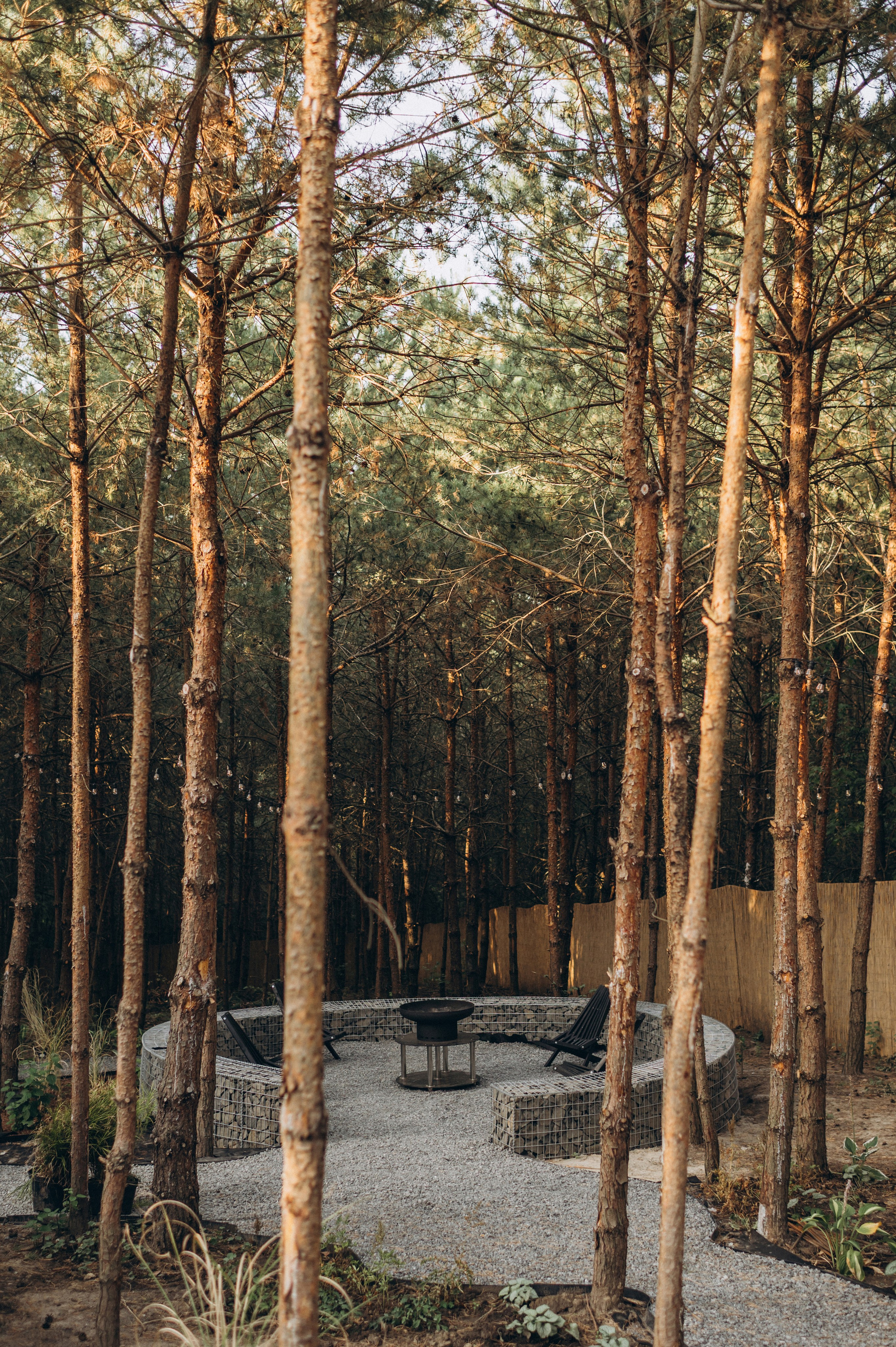 Інтер’єрна фотосесія будиночок в лісі, інтерєрна зйомка Тернопіль, інтерєрна фотосесія Львів. Сімейний, дитячий та індивідуальний фотограф в м. Тернопіль, м. Львів