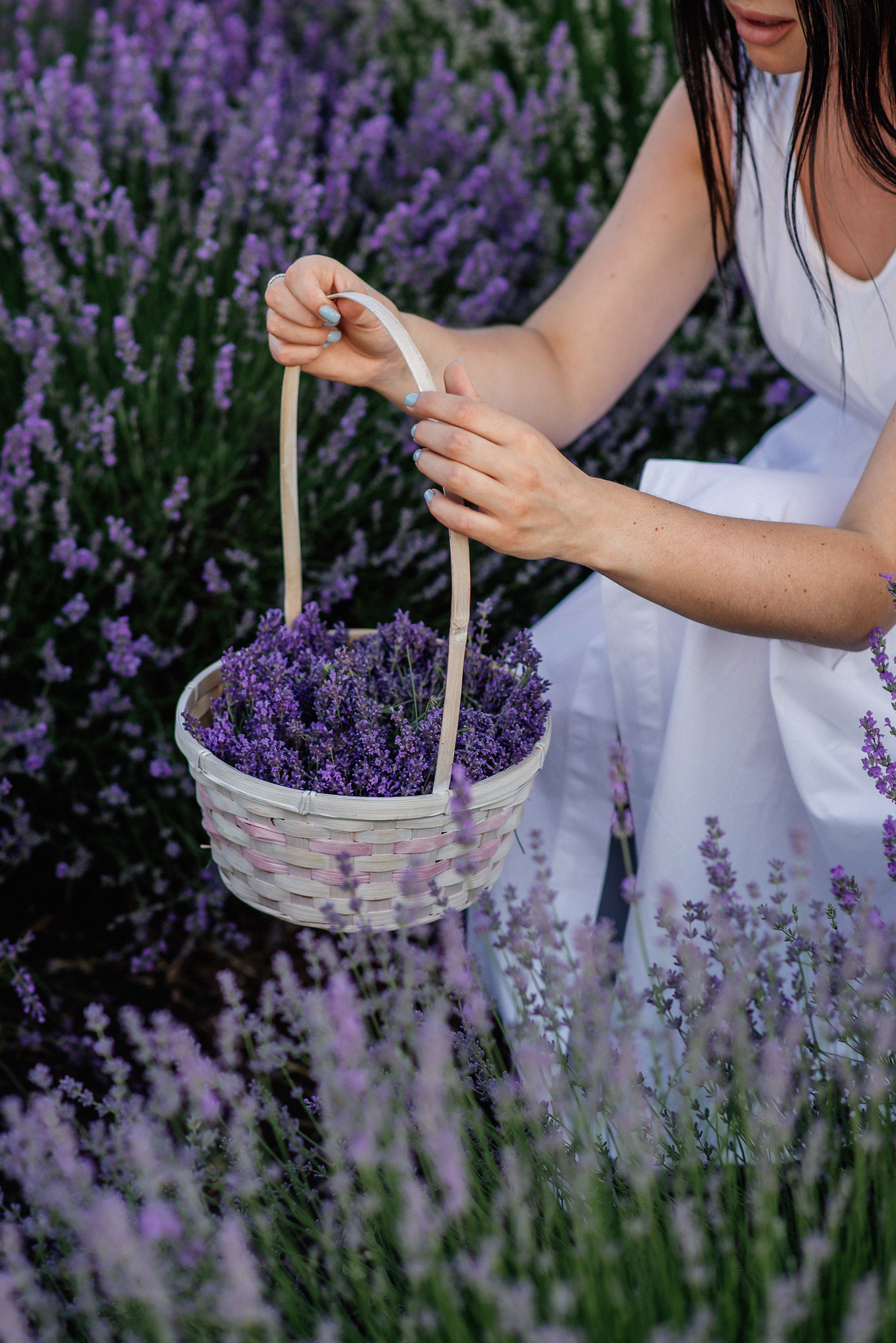 Фотосесія в лаванді. Лілія. Сімейний, дитячий та індивідуальний фотограф в м. Тернопіль, м. Львів