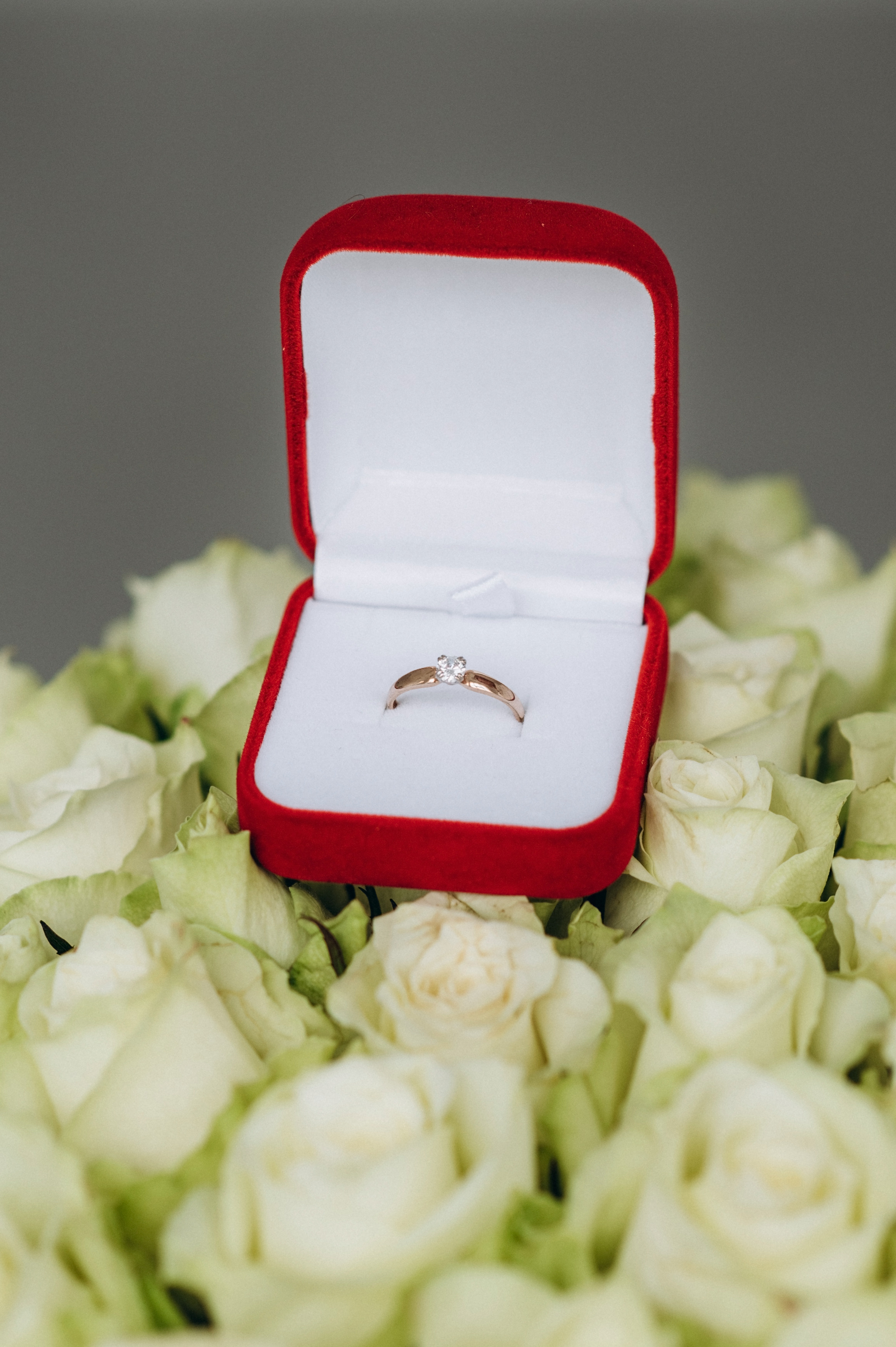 Зйомка освідчення, фотосесія освідчення Тернопіль Сімейна фотосесія Тернопіль, сімейний фотограф Тернопіль, сімейна зйомка Тернопіль. Сімейний, дитячий та індивідуальний фотограф в м. Тернопіль, м. Львів