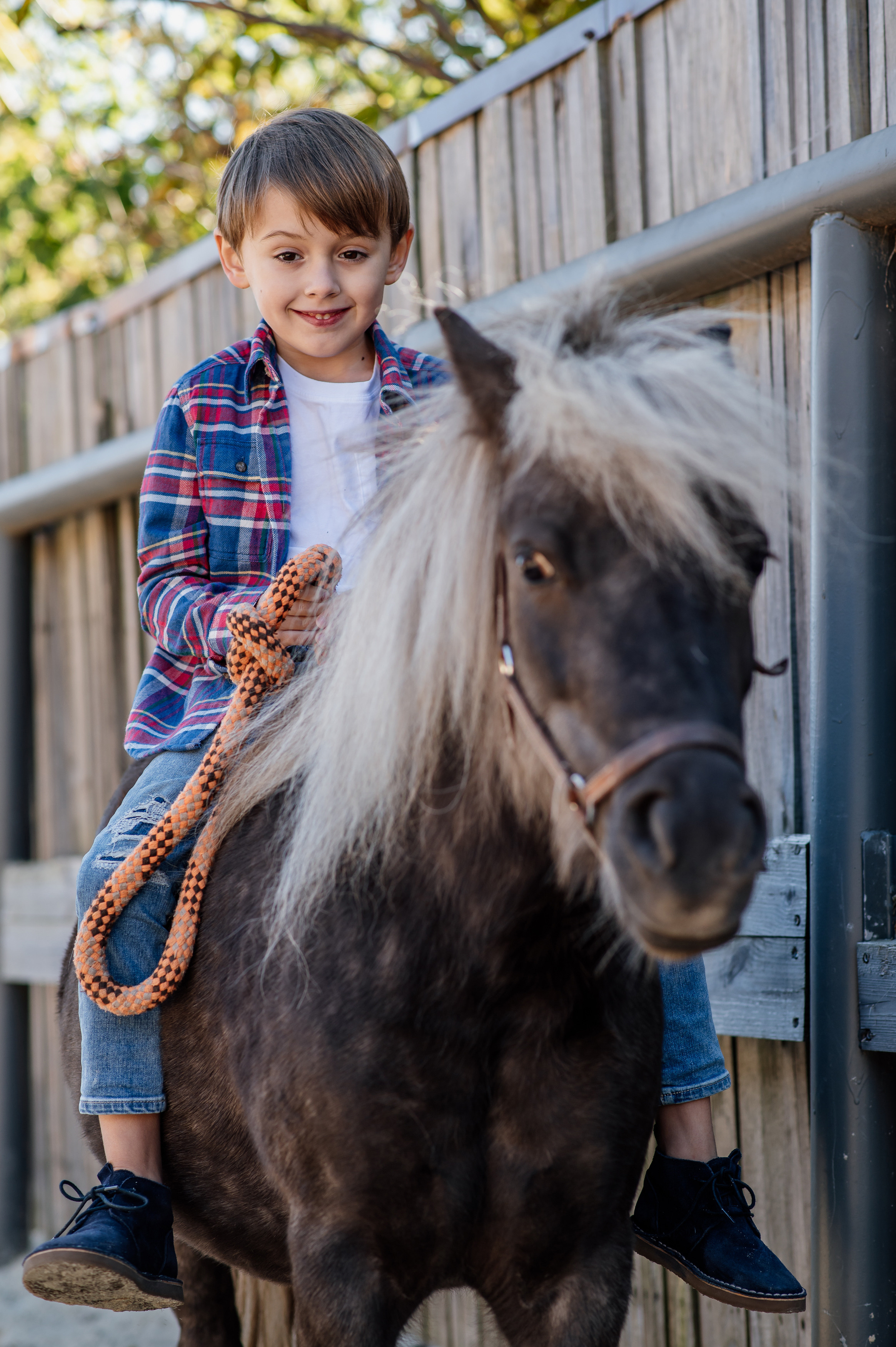 Сімейна фотосесія з кониками. Тернопіль. Сімейний, дитячий та індивідуальний фотограф в м. Тернопіль, м. Львів