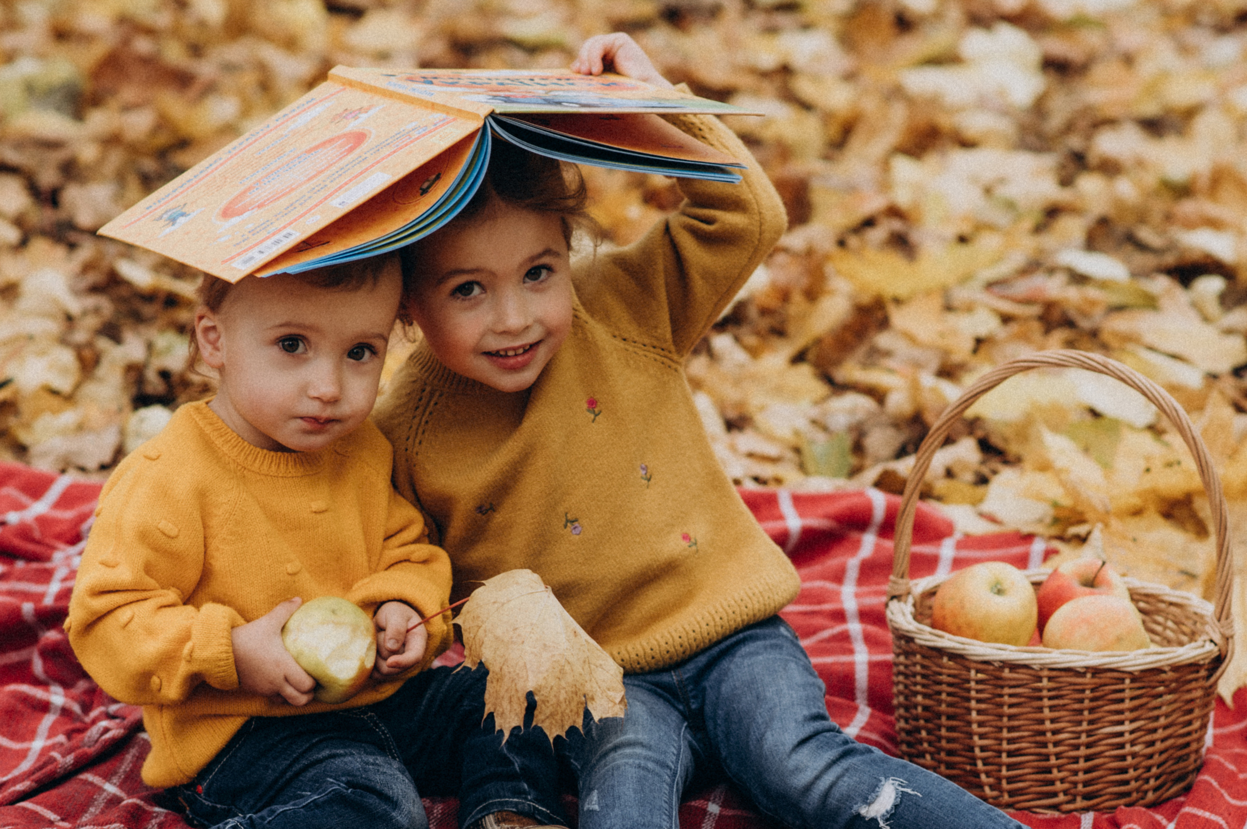 Осіння сімейна фотосесія. Сімейний, дитячий та індивідуальний фотограф в м. Тернопіль, м. Львів