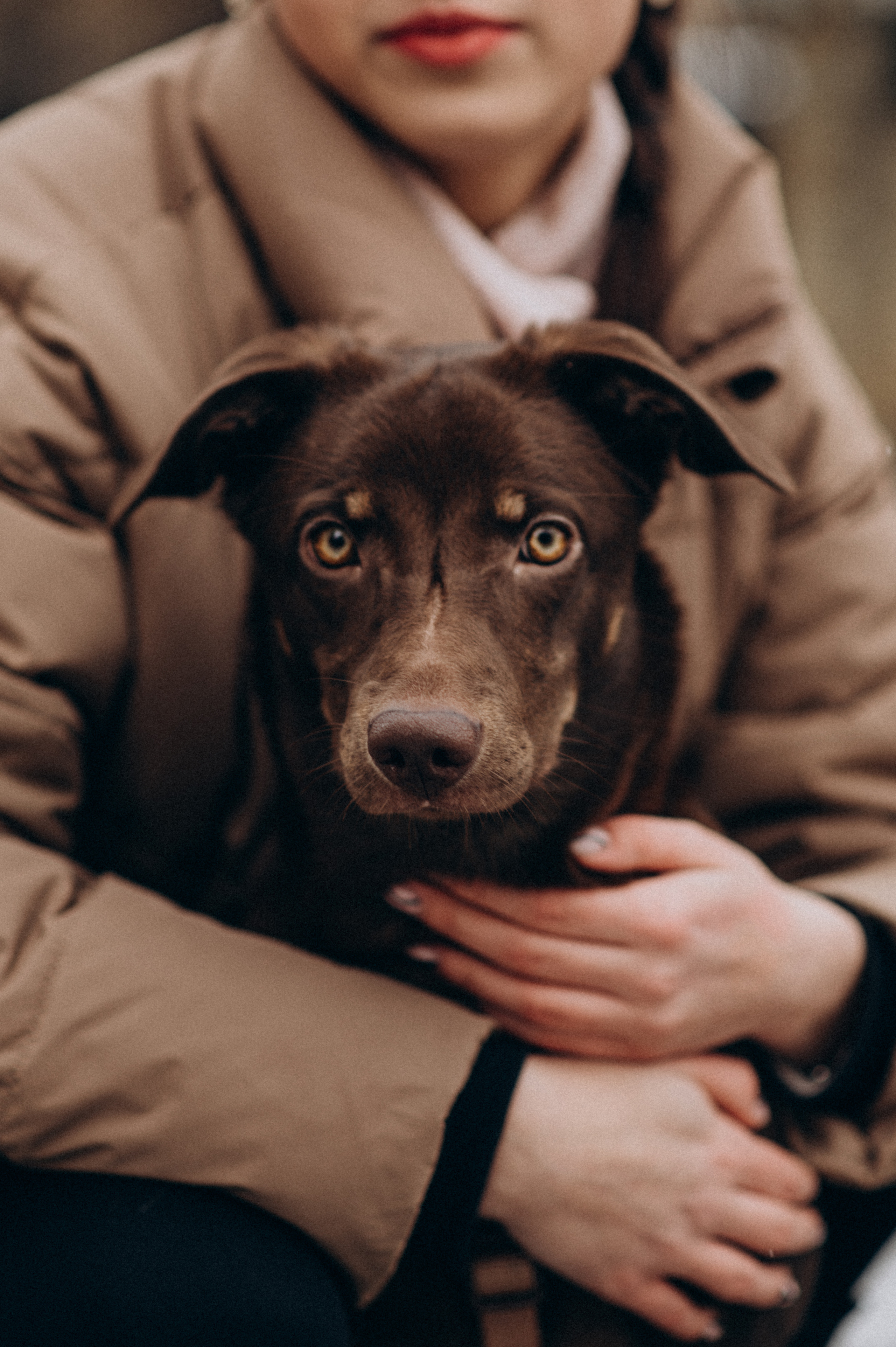 Зйомка з домашнім улюбленцем. Сімейний, дитячий та індивідуальний фотограф в м. Тернопіль, м. Львів