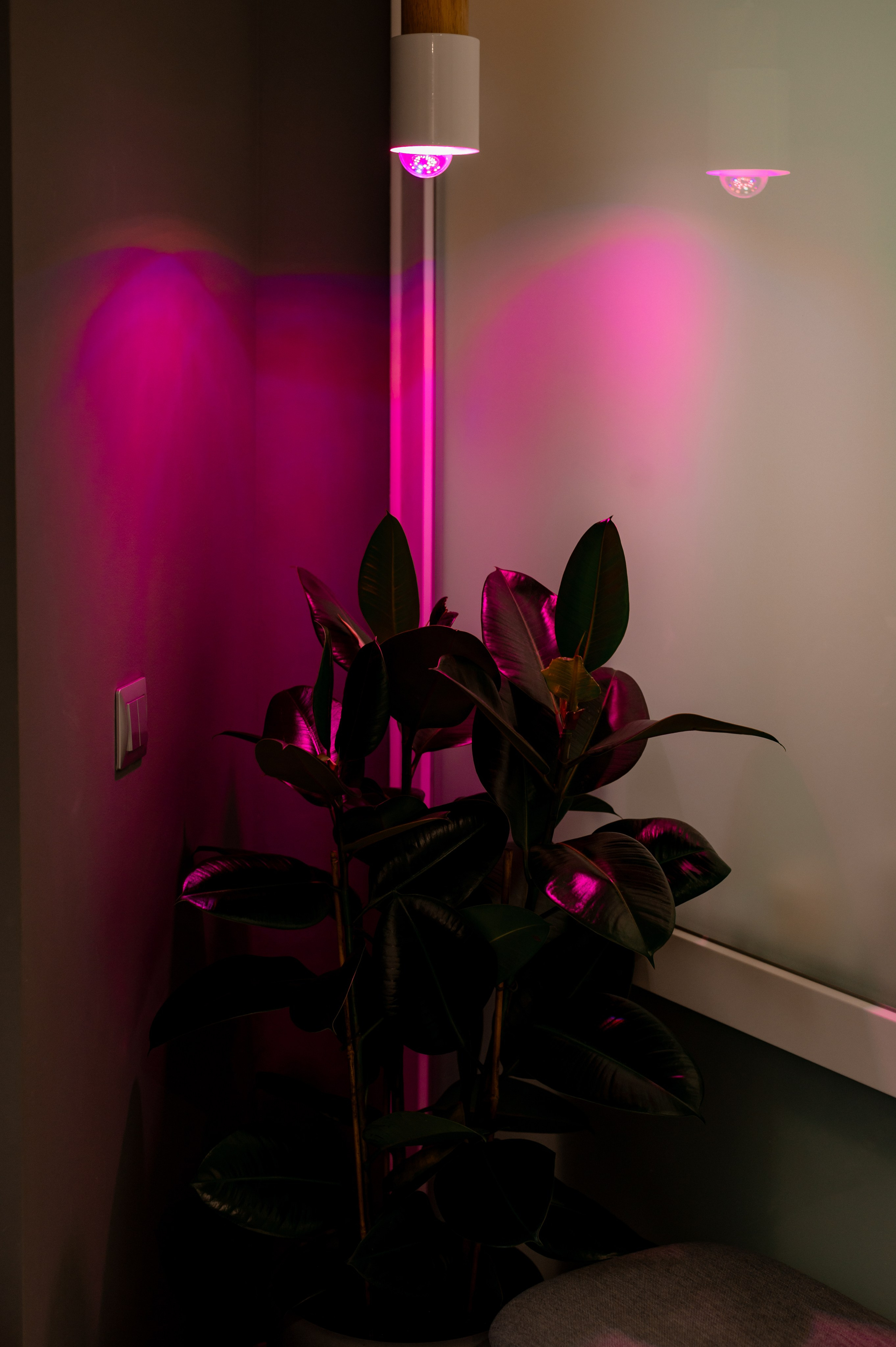 Фотосесія стоматології, зйомка стоматологічної клініки, контент для стоматолога. Сімейний, дитячий та індивідуальний фотограф в м. Тернопіль, м. Львів