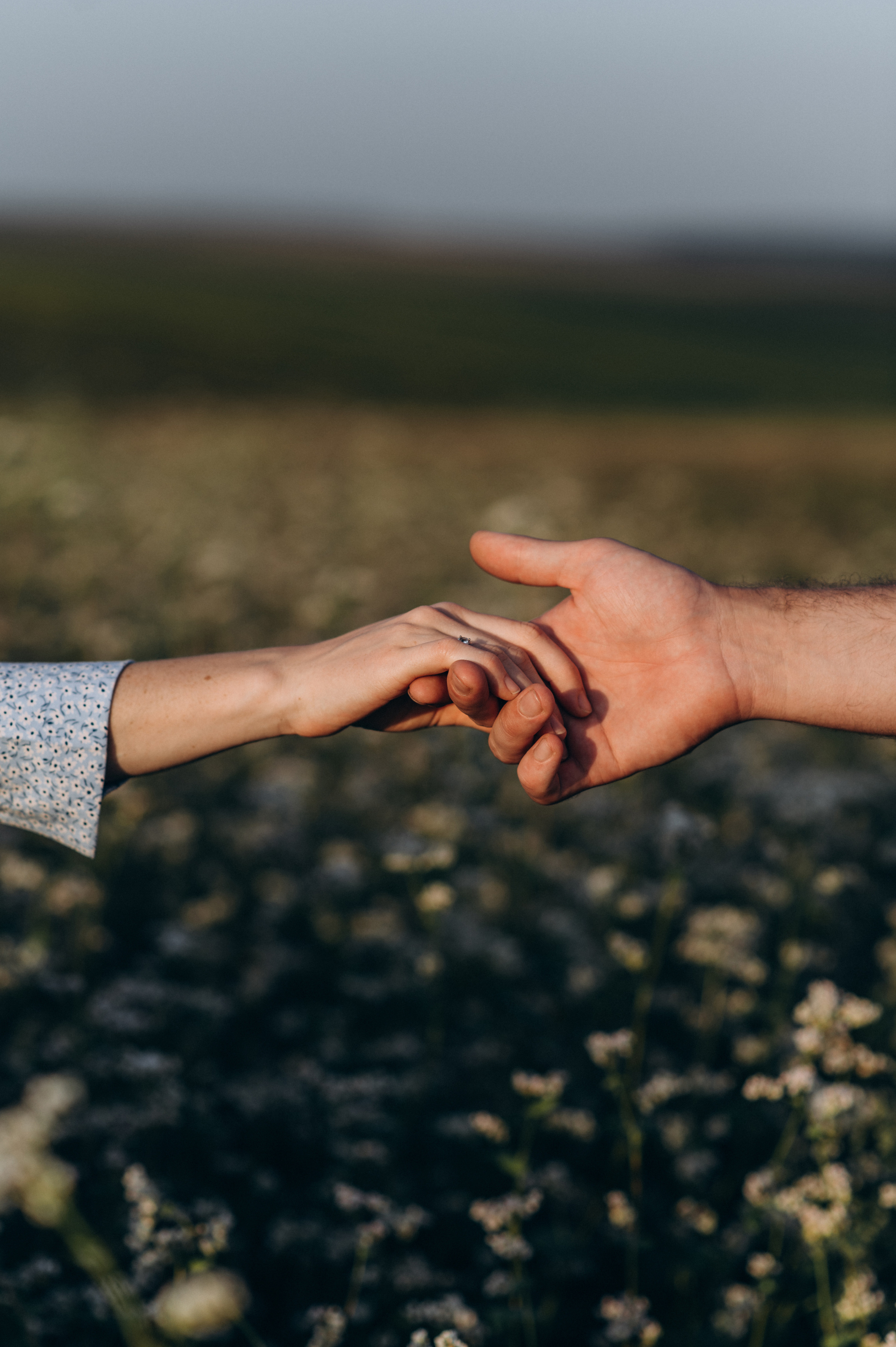 Фотосесія вагітності - Софія та Микола. Сімейний, дитячий та індивідуальний фотограф в м. Тернопіль, м. Львів