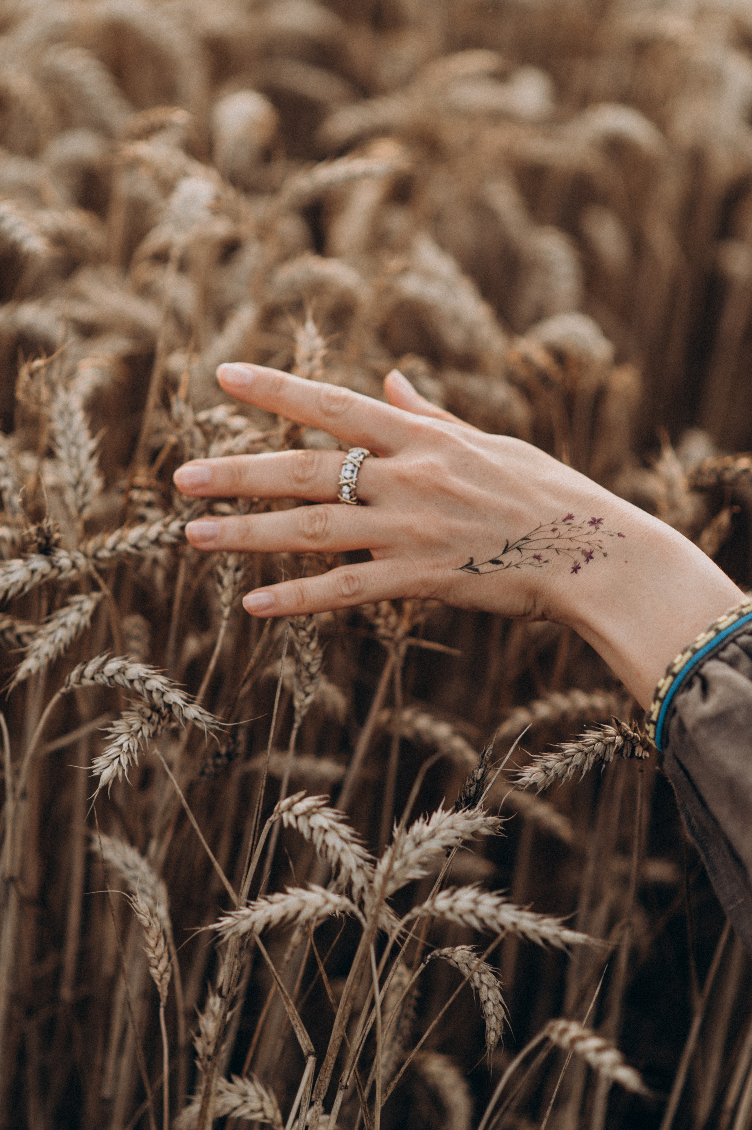 Фотосесія в пшениці та соняхах. Сімейний, дитячий та індивідуальний фотограф в м. Тернопіль, м. Львів