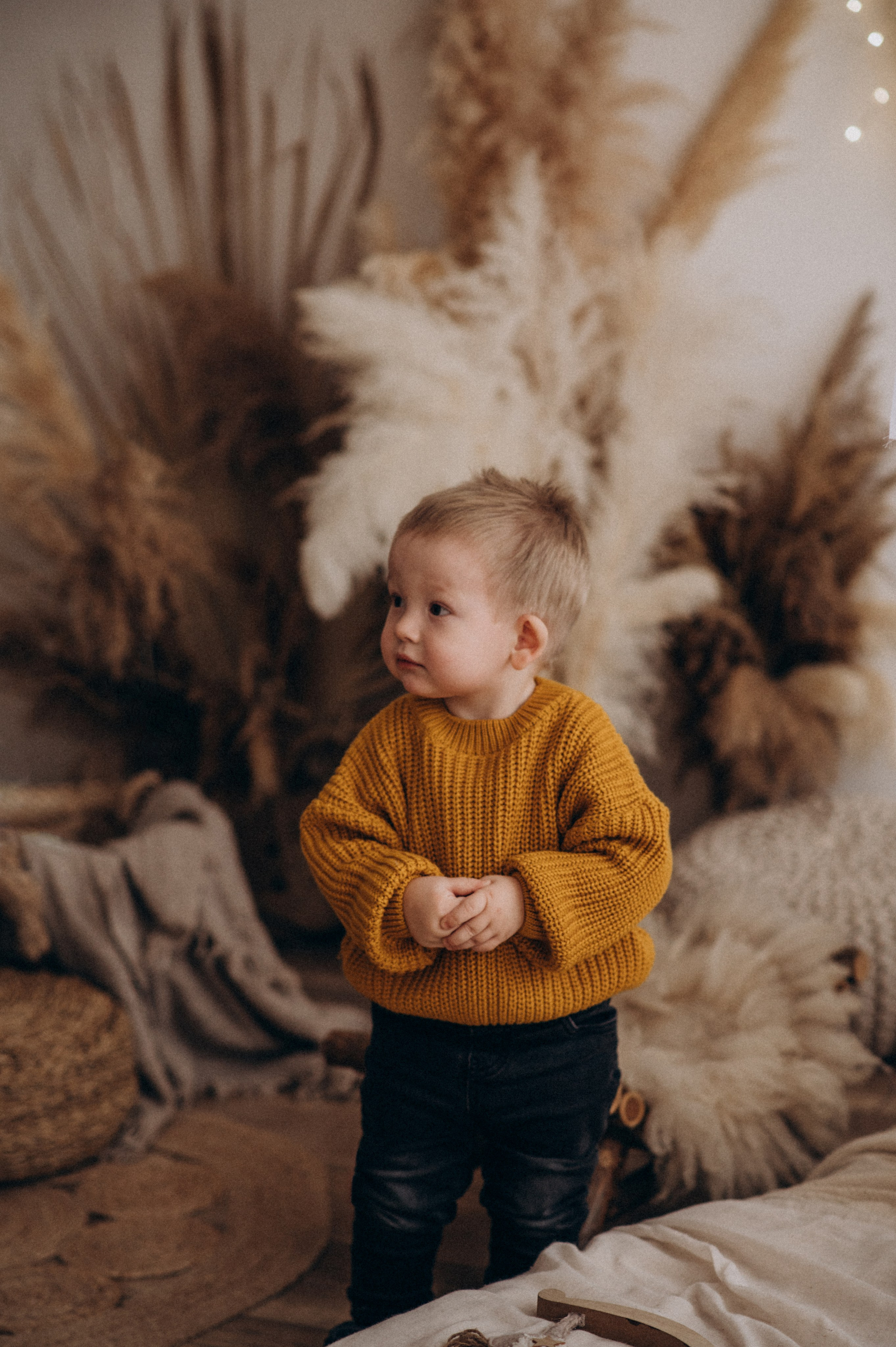 Новорічна фотосесія у студії Тернополя, фотосесія Львів. Сімейний, дитячий та індивідуальний фотограф в м. Тернопіль, м. Львів