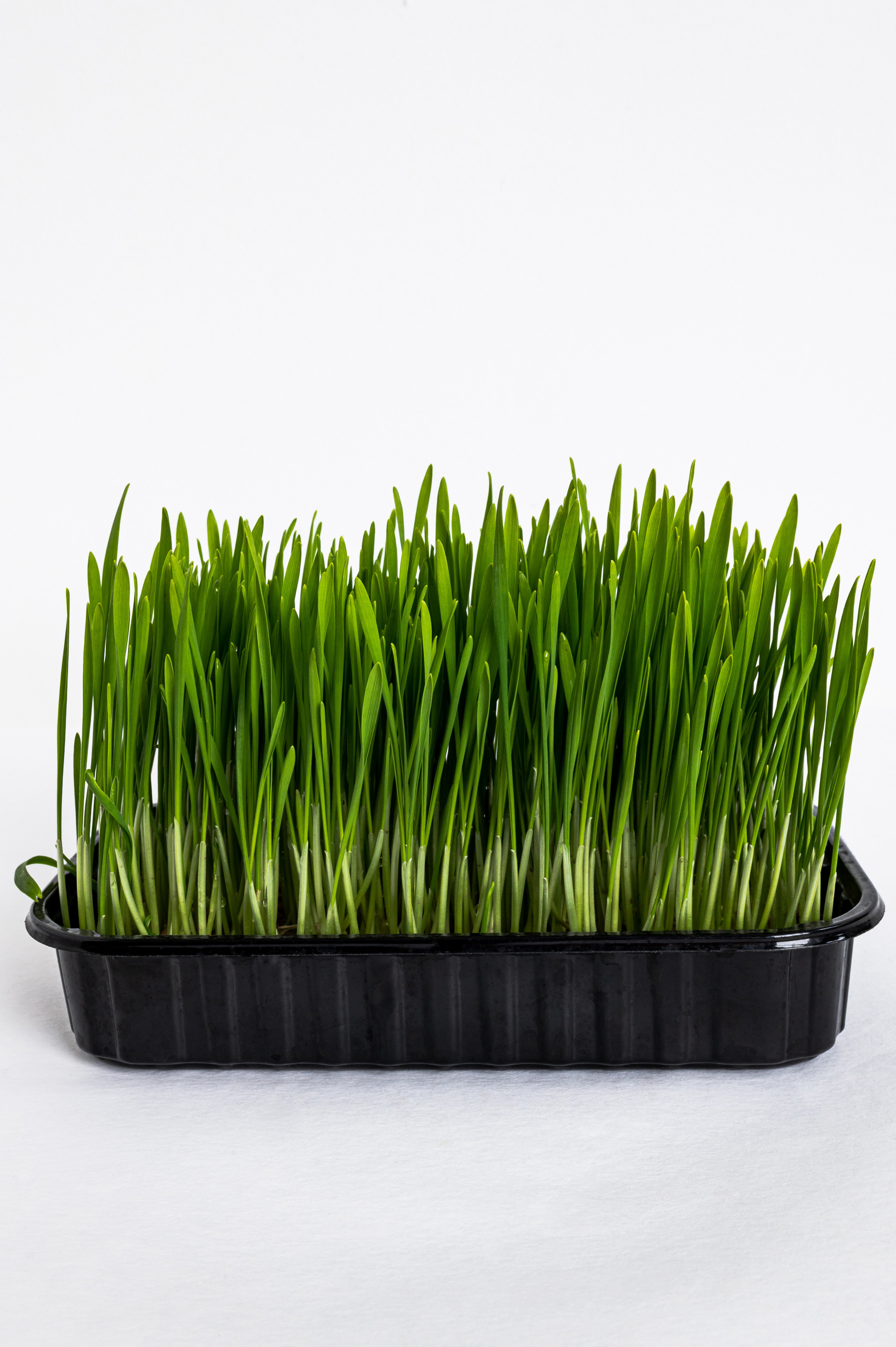 Предметні фото. Сімейний, дитячий та індивідуальний фотограф в м. Тернопіль, м. Львів