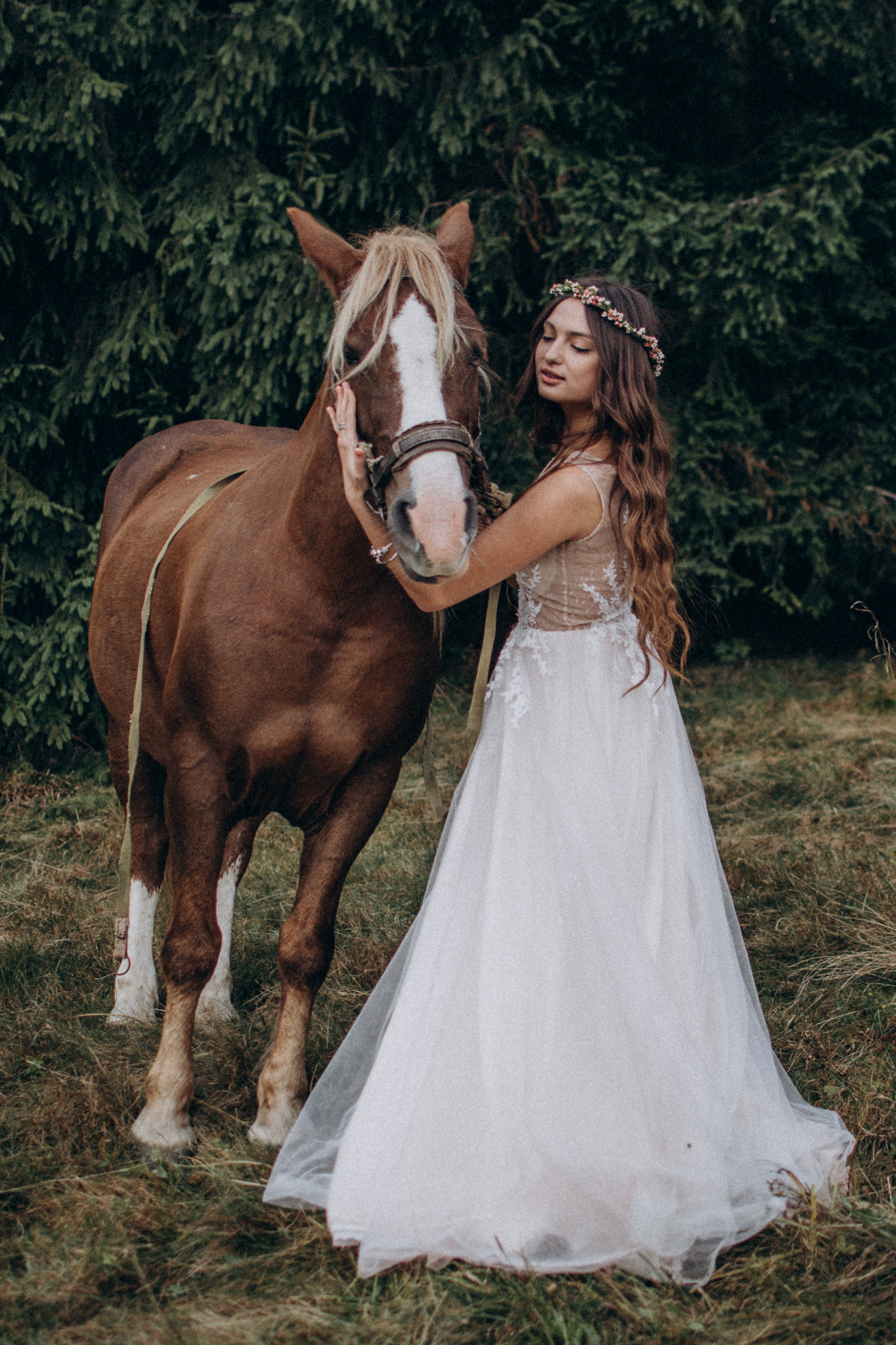 Весільна прогулянка в осінніх Карпатах. Сімейний, дитячий та індивідуальний фотограф в м. Тернопіль, м. Львів