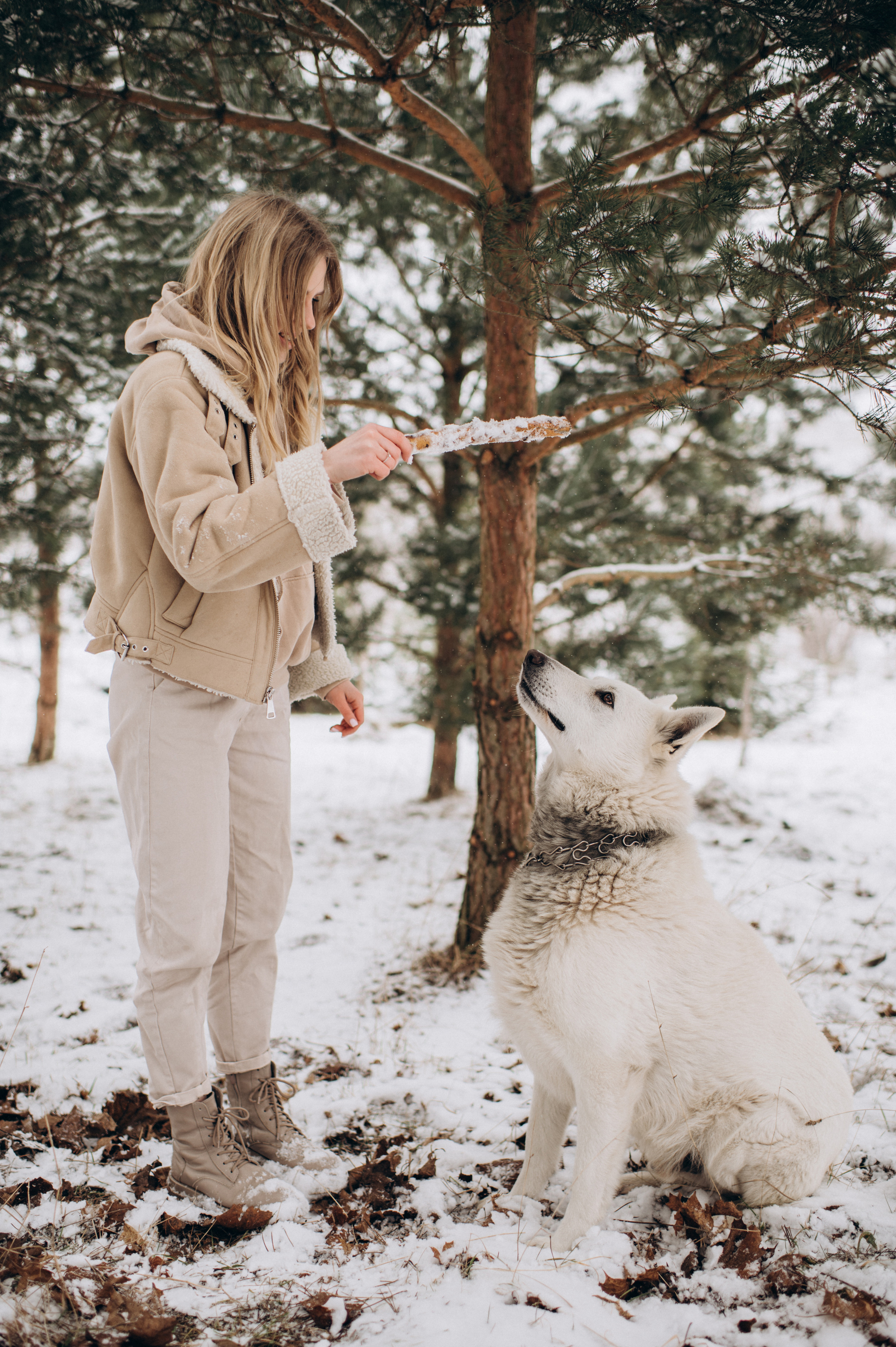 Зйомка з собакою Oleksandra & Volt. Сімейний, дитячий та індивідуальний фотограф в м. Тернопіль, м. Львів