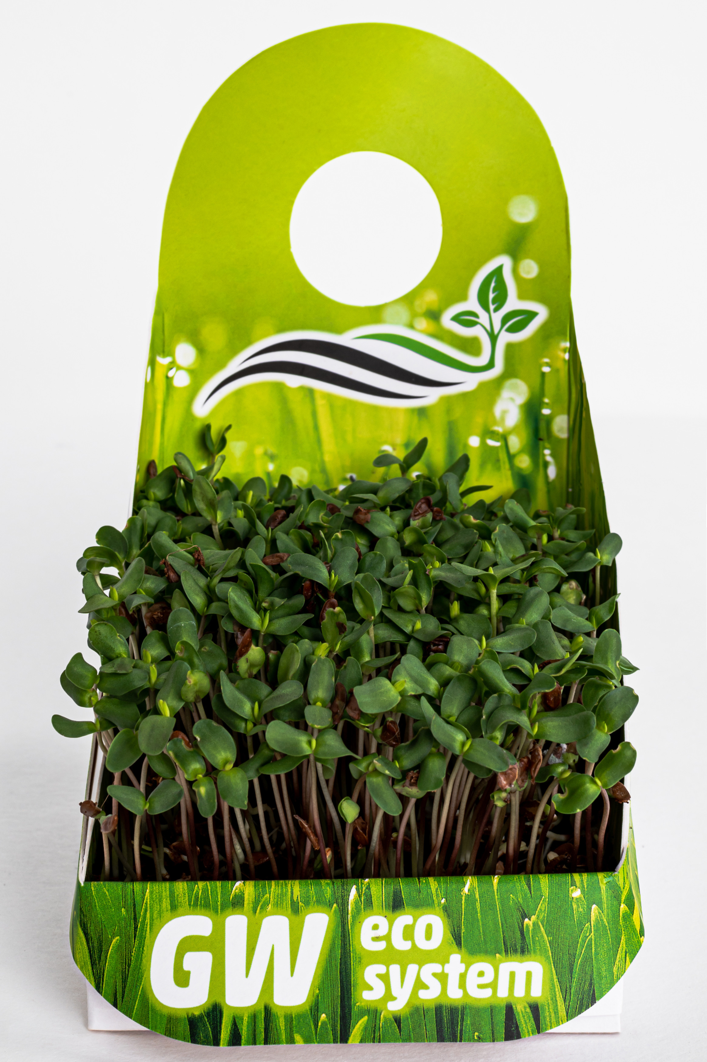 Предметні фото. Сімейний, дитячий та індивідуальний фотограф в м. Тернопіль, м. Львів