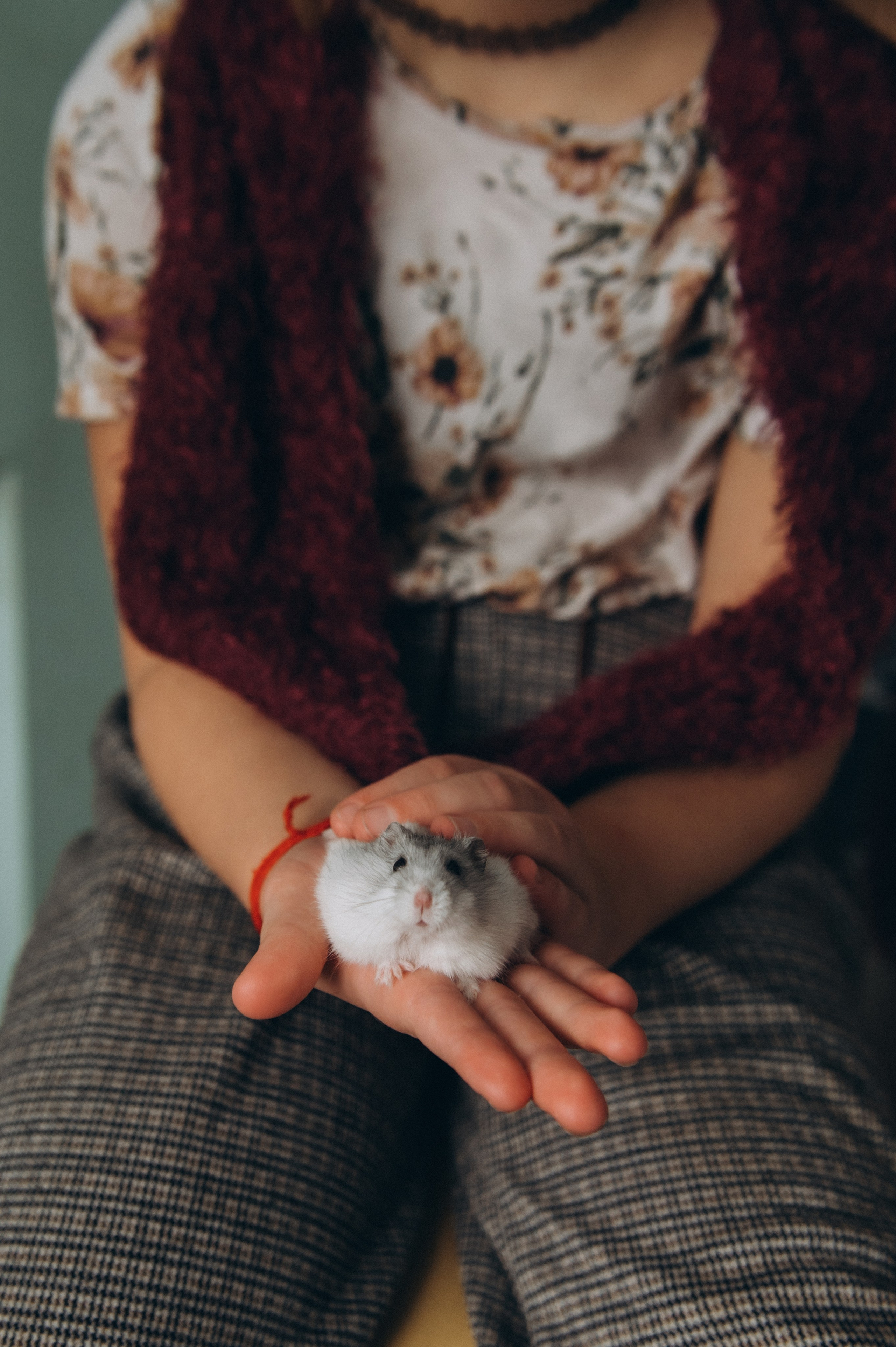 Сімейна фотосесія вдома Тернопіль, сімейний фотограф Львів Тернопіль, сімейна фотосесія Тернопіль, зйомка вдома. Сімейний, дитячий та індивідуальний фотограф в м. Тернопіль, м. Львів