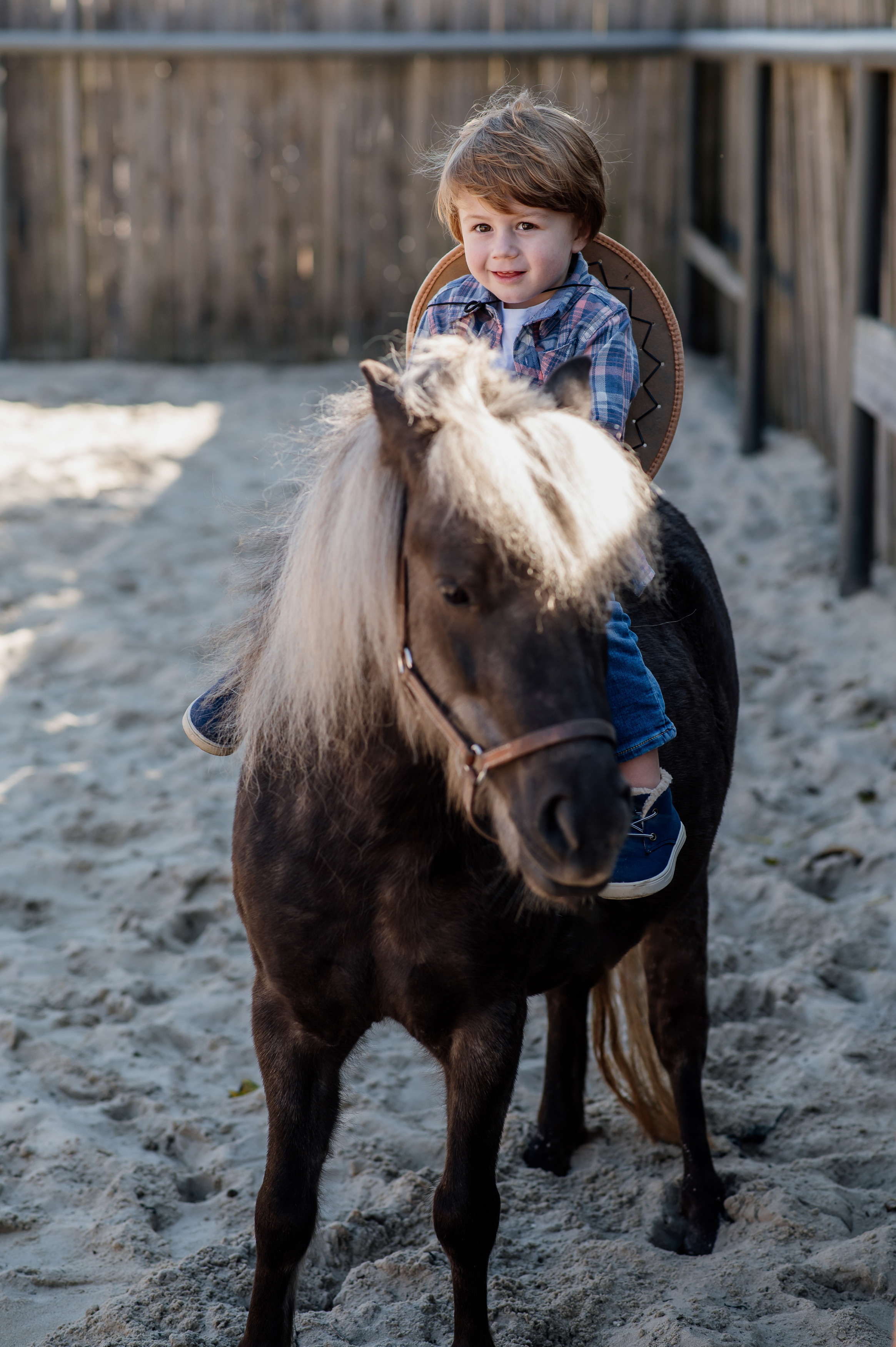 Сімейна фотосесія з кониками. Тернопіль. Сімейний, дитячий та індивідуальний фотограф в м. Тернопіль, м. Львів