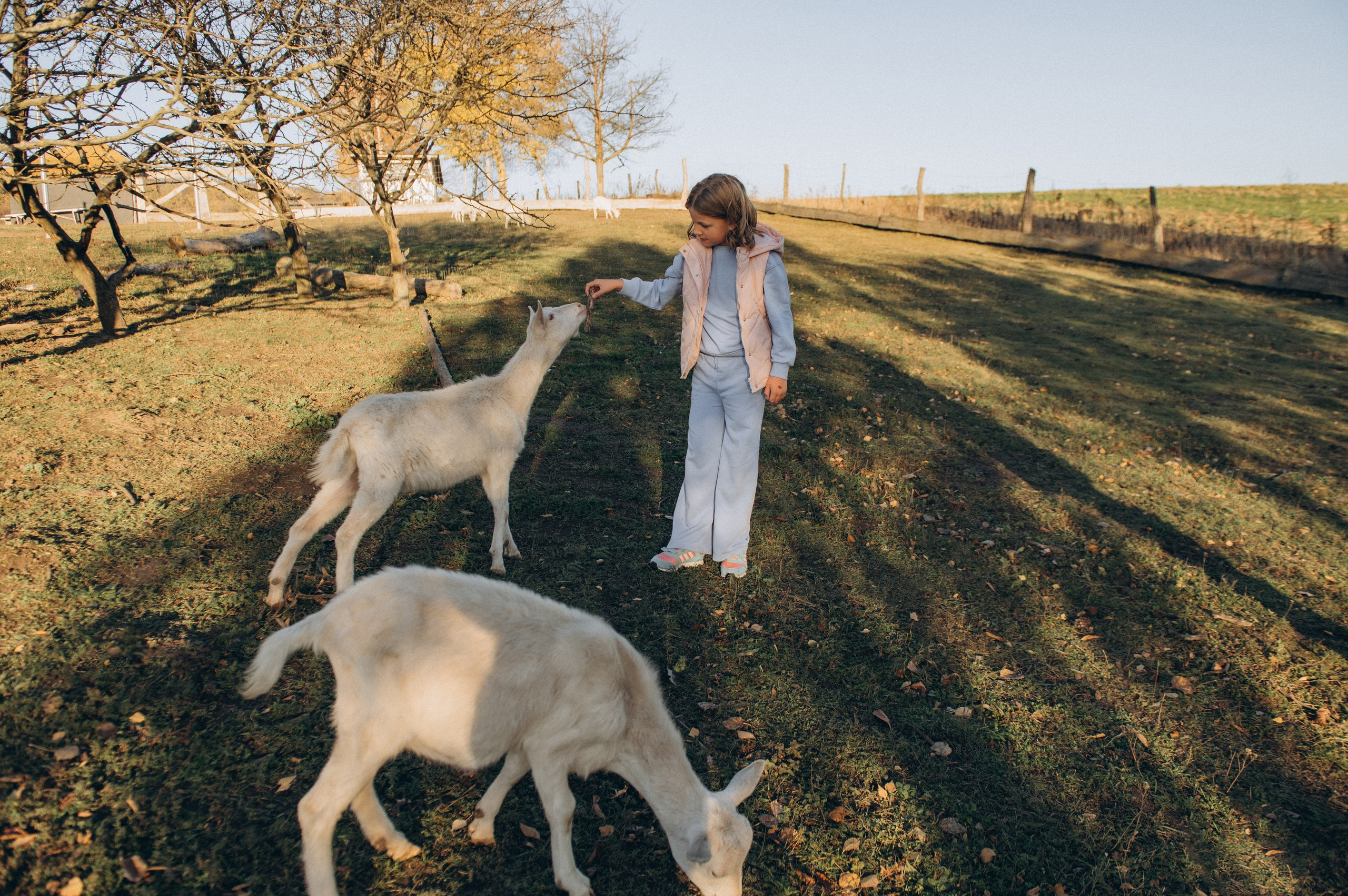 Дитячий фотограф Тернопіль, фотосесія дітей, фотосесія на природі, зйомка у Веселі козенята, фотосесія дня народження Тернопіль. Сімейний, дитячий та індивідуальний фотограф в м. Тернопіль, м. Львів