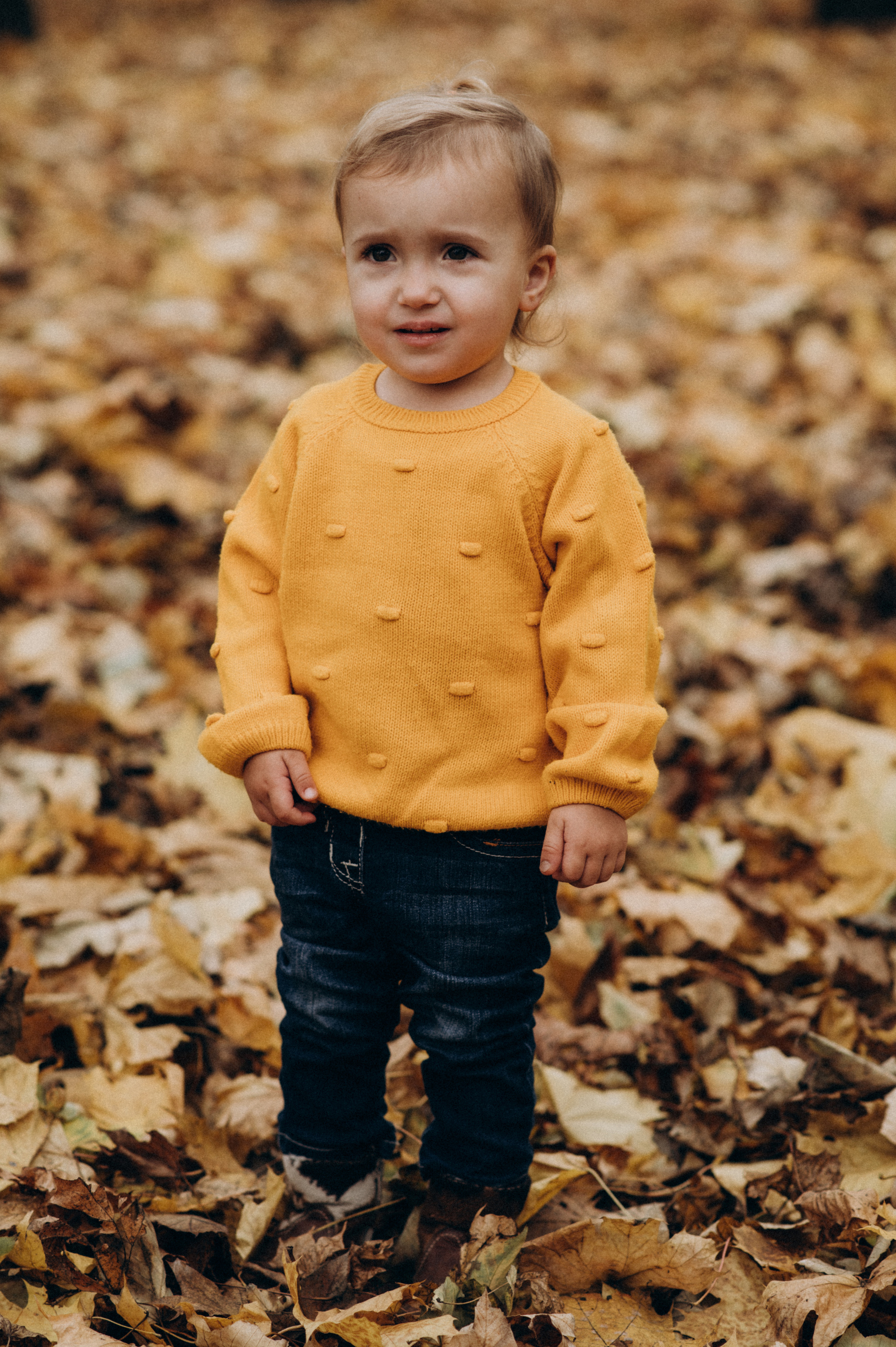 Осіння сімейна фотосесія. Сімейний, дитячий та індивідуальний фотограф в м. Тернопіль, м. Львів