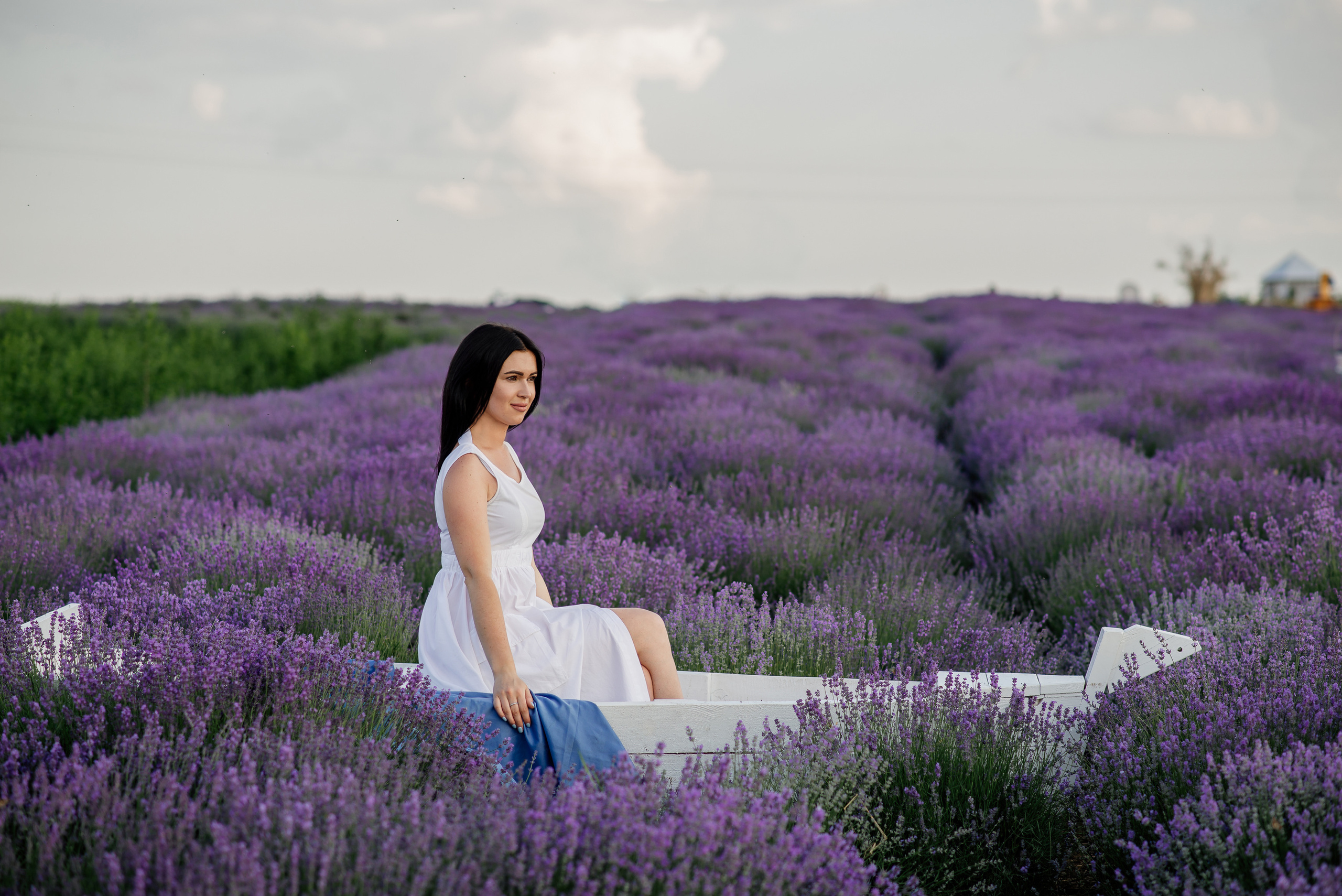 Фотосесія в лаванді. Лілія. Сімейний, дитячий та індивідуальний фотограф в м. Тернопіль, м. Львів