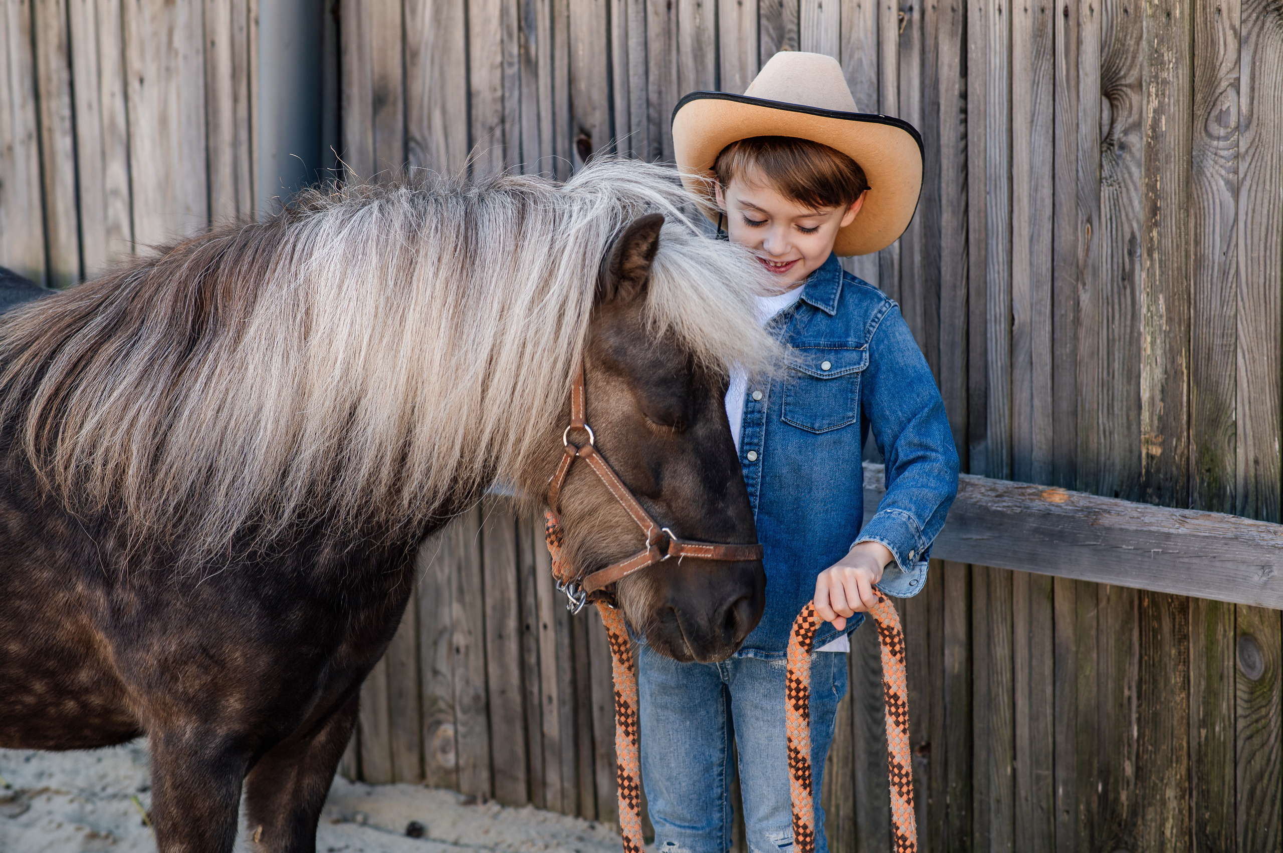 Сімейна фотосесія з кониками. Тернопіль. Сімейний, дитячий та індивідуальний фотограф в м. Тернопіль, м. Львів