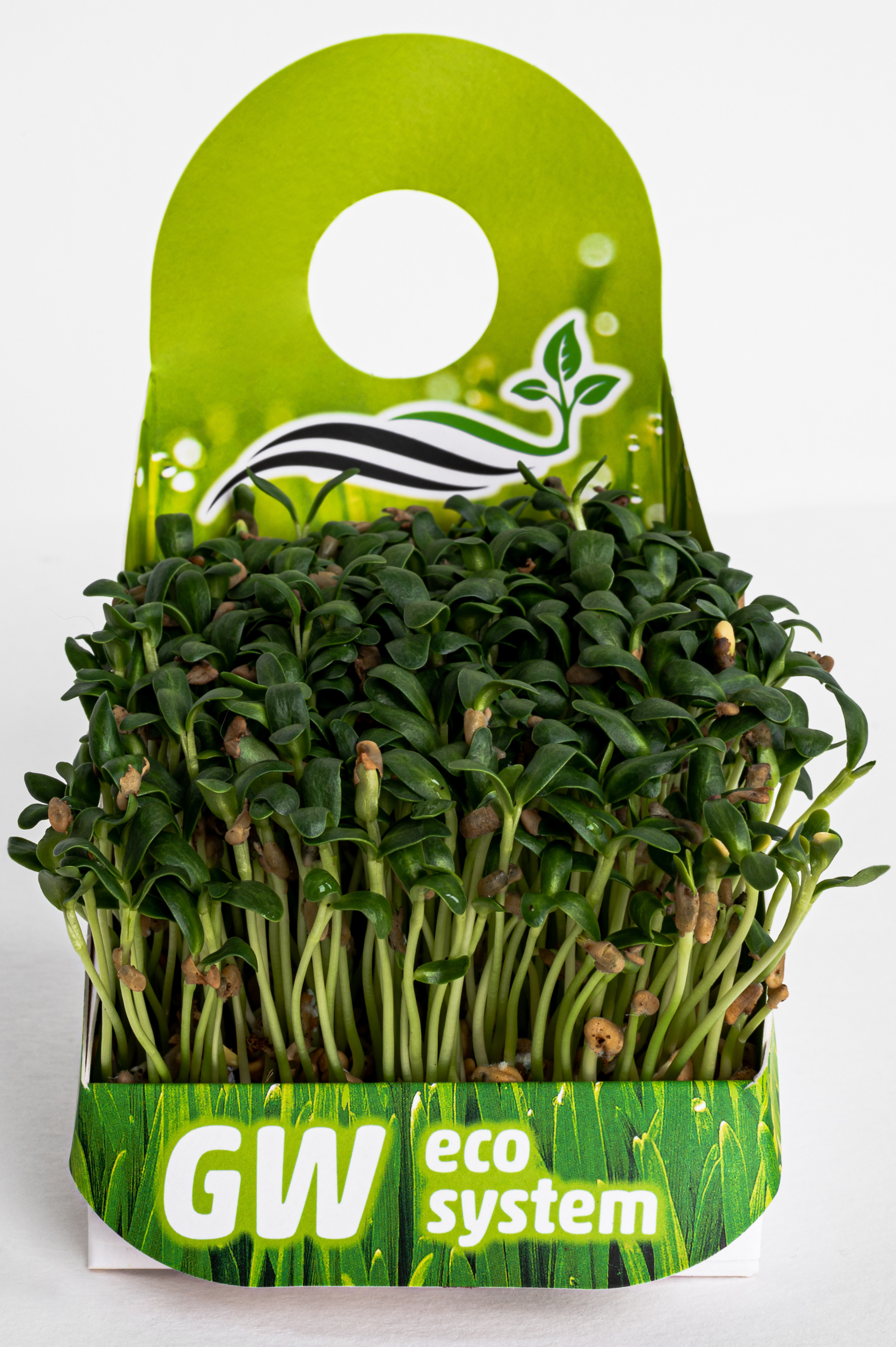 Предметні фото. Сімейний, дитячий та індивідуальний фотограф в м. Тернопіль, м. Львів