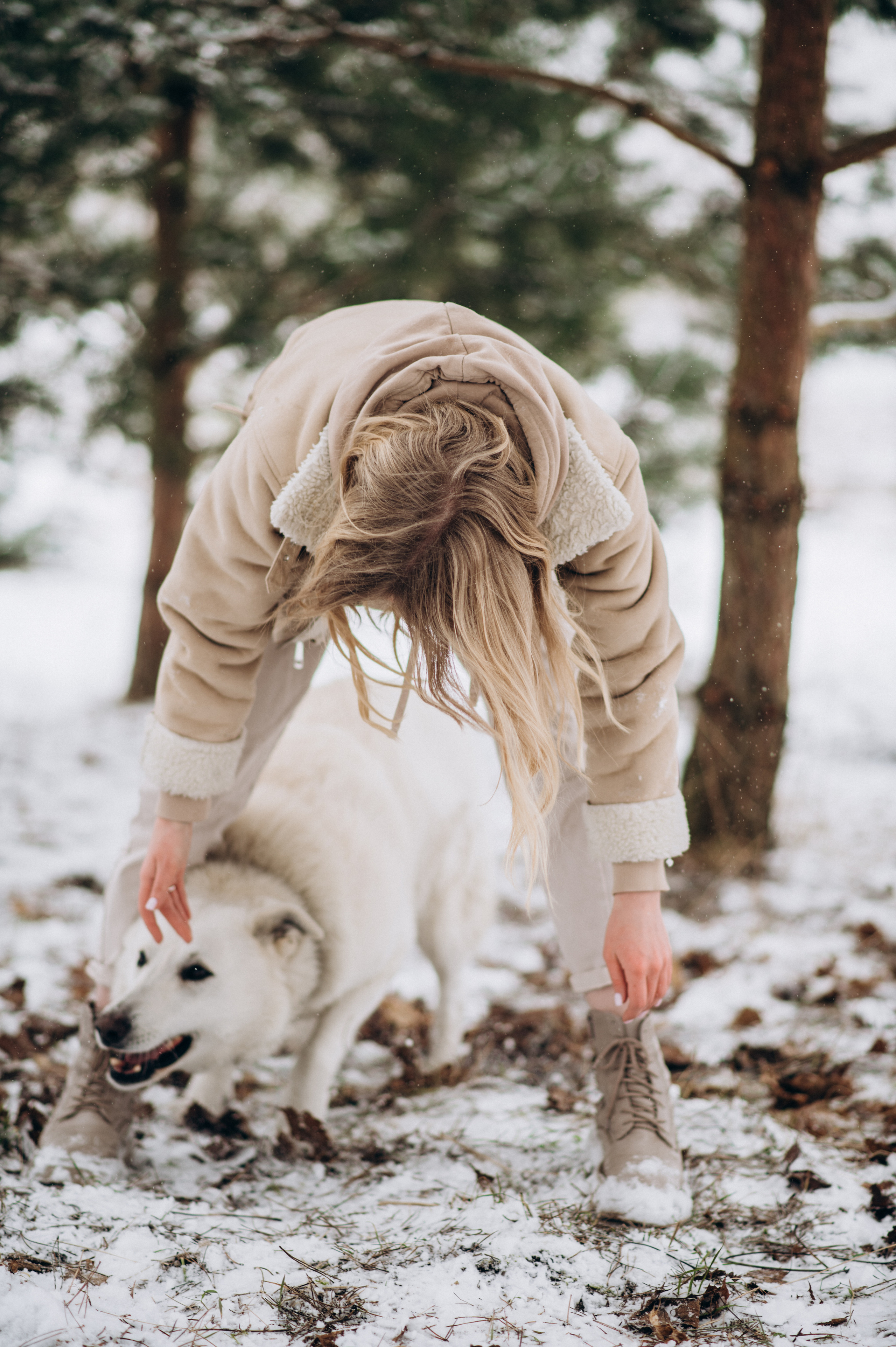 Зйомка з собакою Oleksandra & Volt. Сімейний, дитячий та індивідуальний фотограф в м. Тернопіль, м. Львів