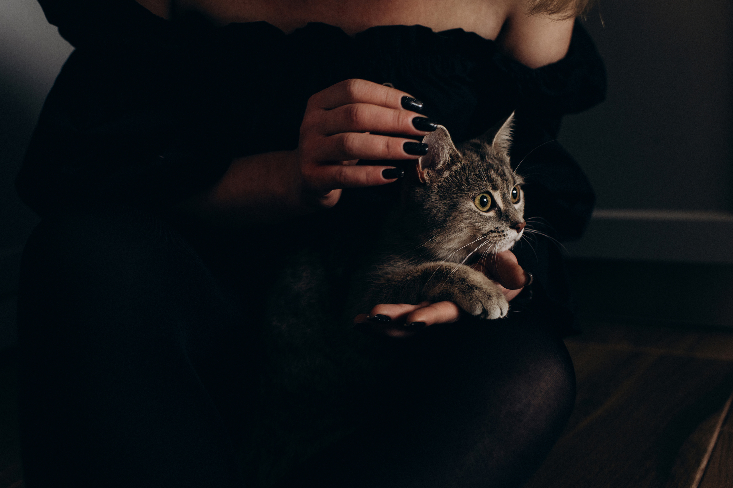 Фотосесія з котиком. Сімейний, дитячий та індивідуальний фотограф в м. Тернопіль, м. Львів