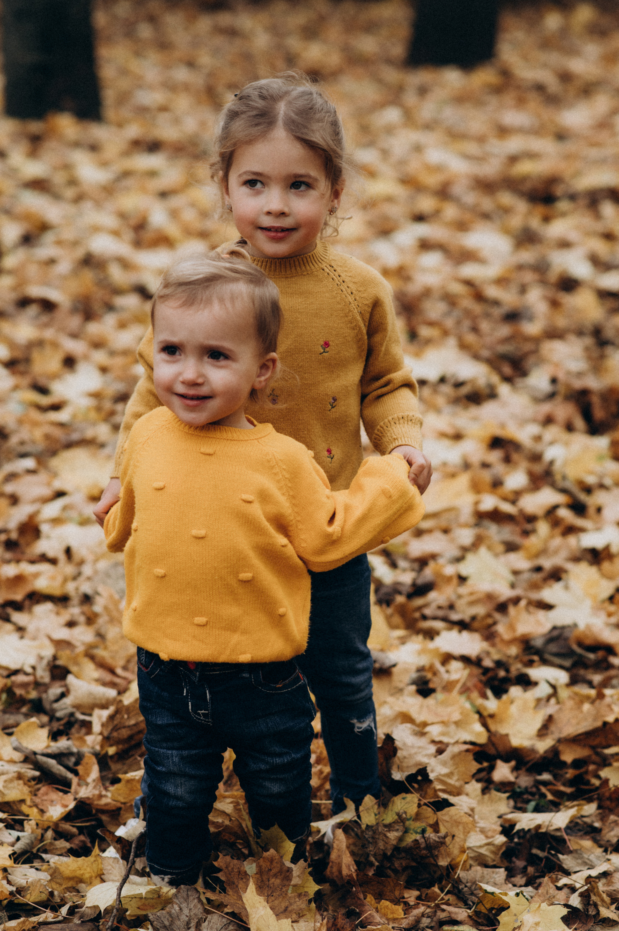 Осіння сімейна фотосесія. Сімейний, дитячий та індивідуальний фотограф в м. Тернопіль, м. Львів