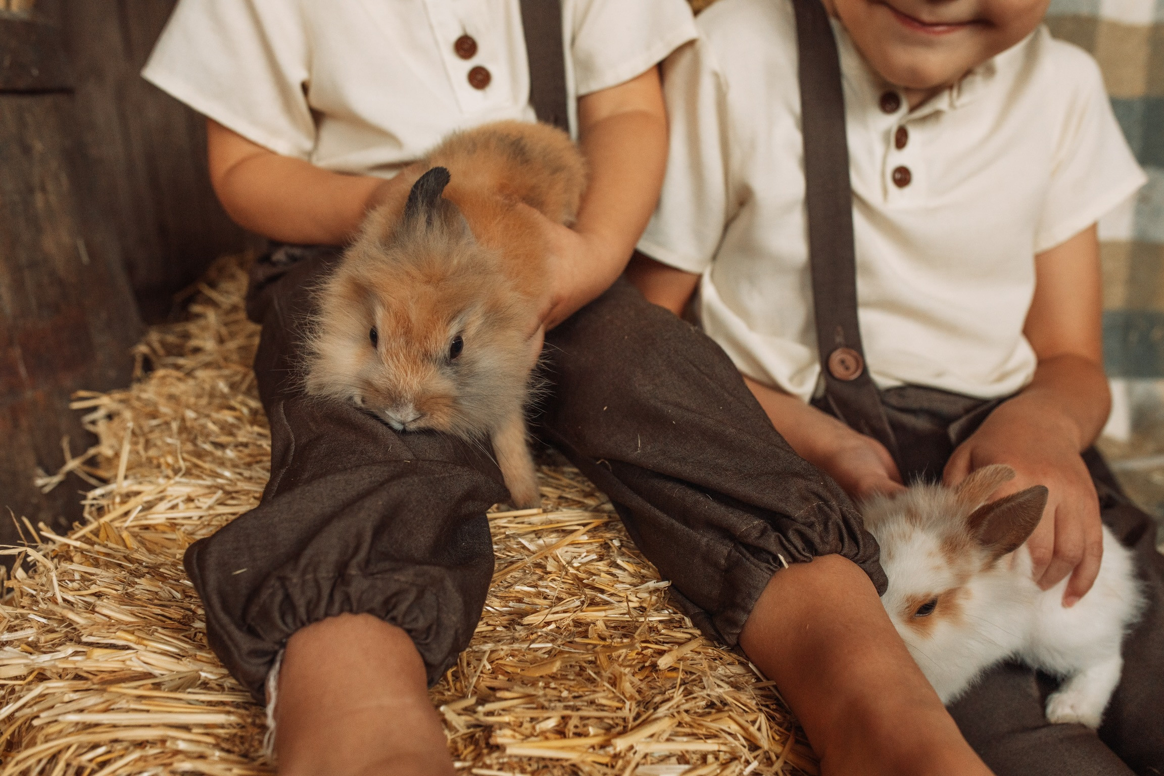 Саша и Ярослав. Ваш семейный фотограф в Харькове Ольга Маринцева