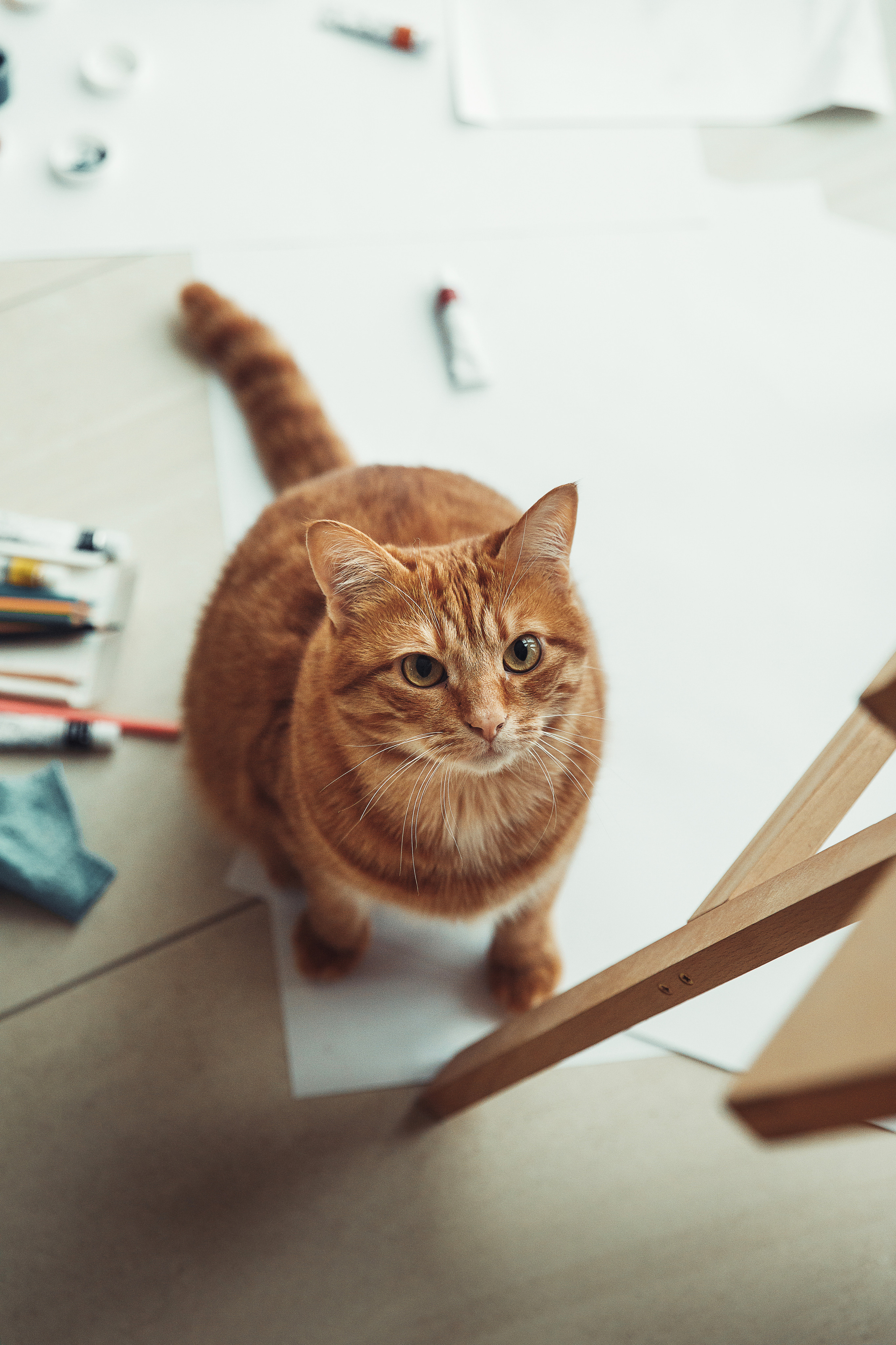 Девушка и краски. Ваш семейный фотограф в Харькове Ольга Маринцева