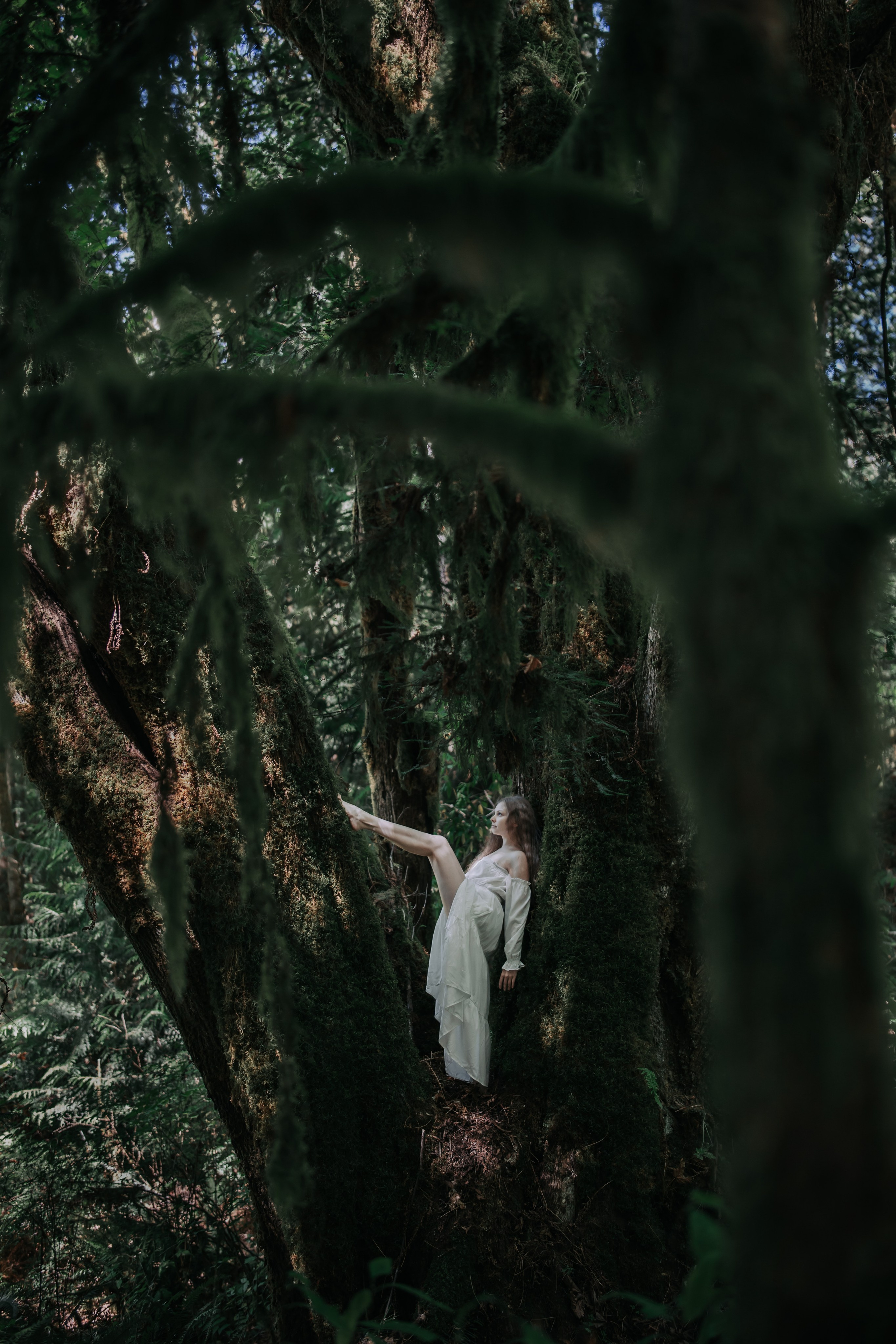 Washington. AnnVish photographer