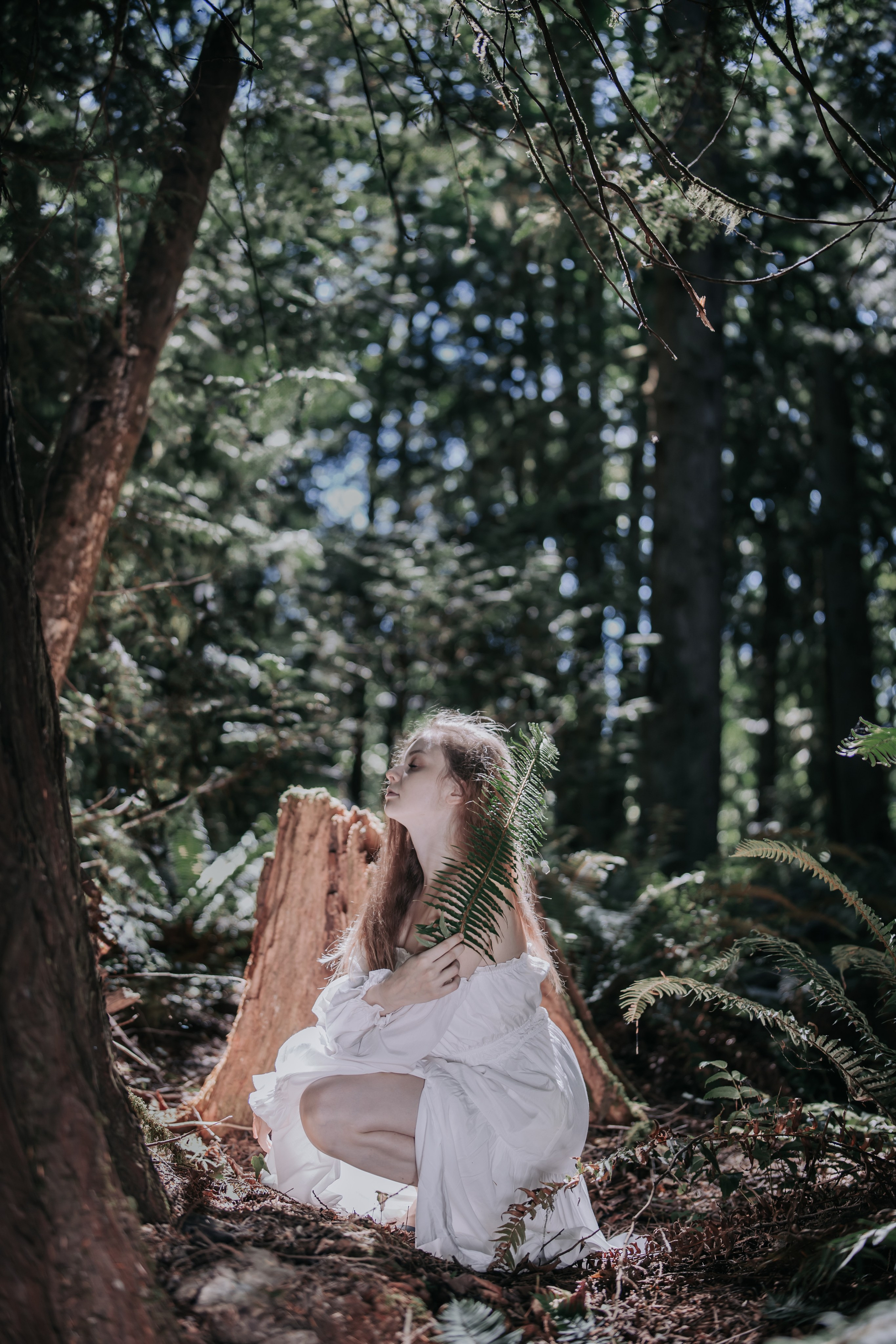 Washington. AnnVish photographer