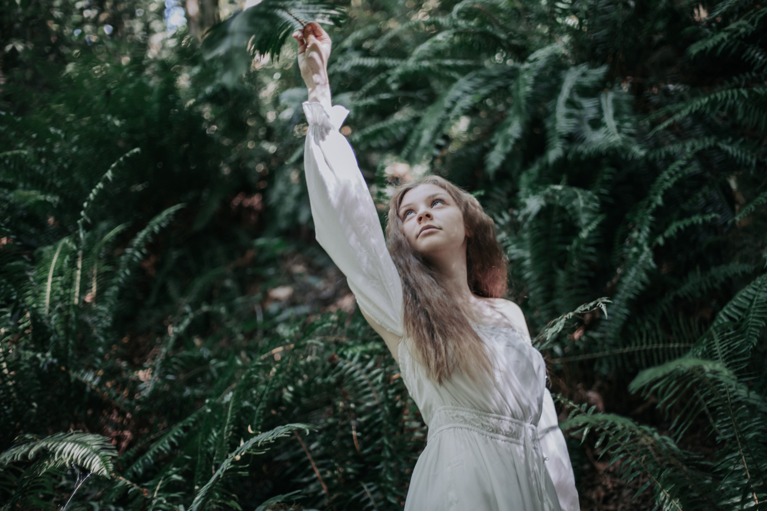 Washington. AnnVish photographer