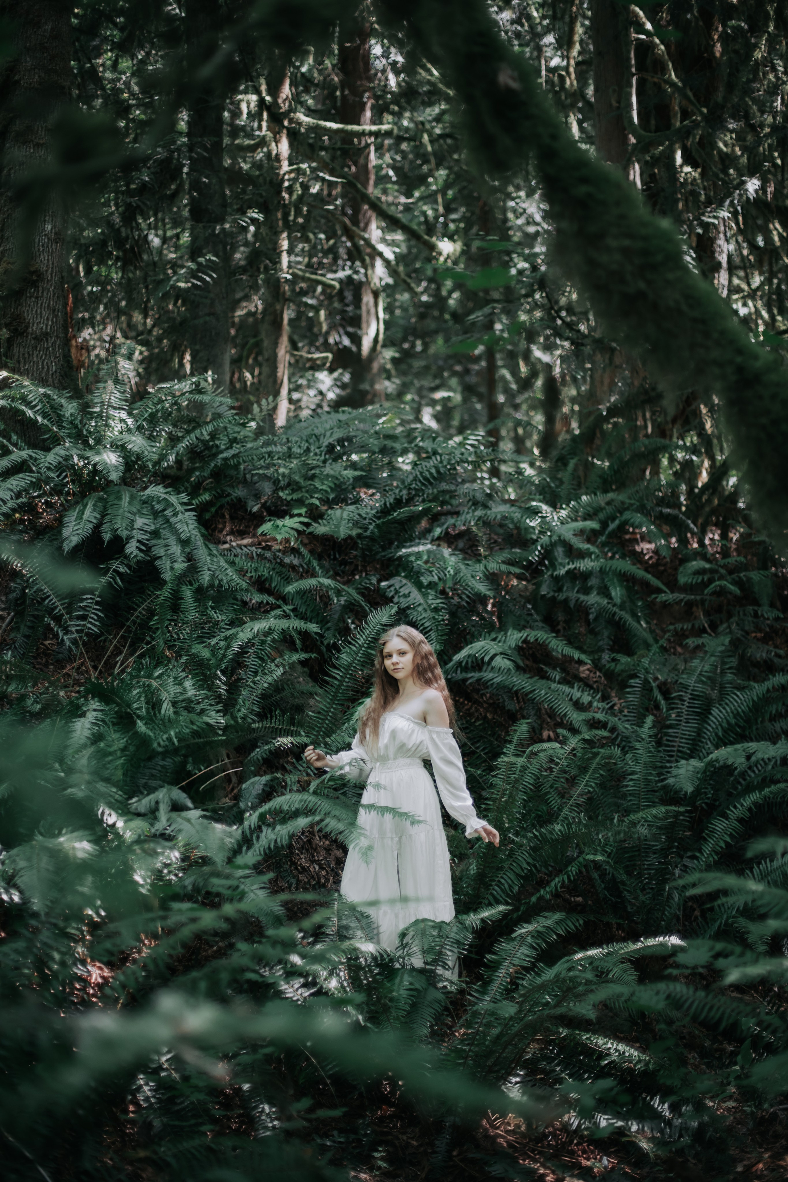 Washington. AnnVish photographer