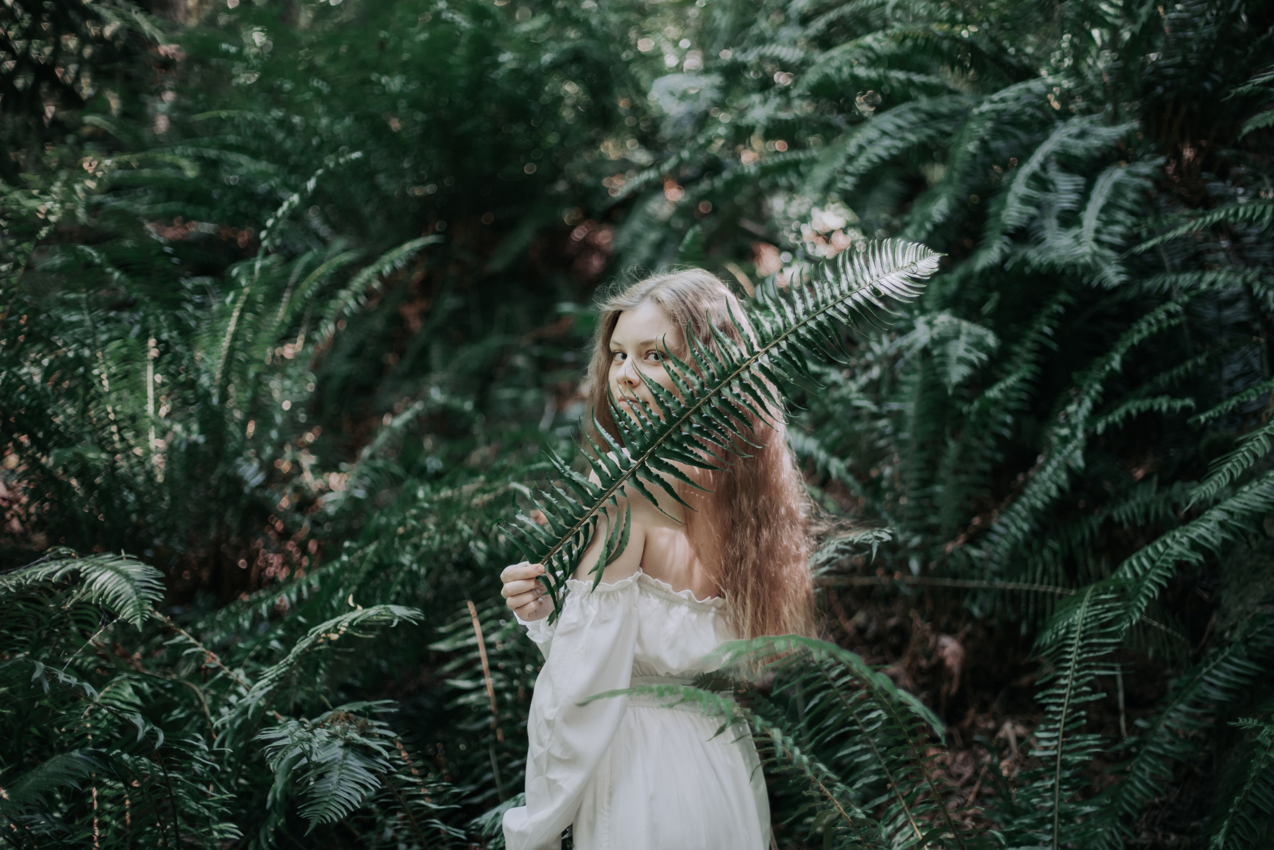 Washington. AnnVish photographer