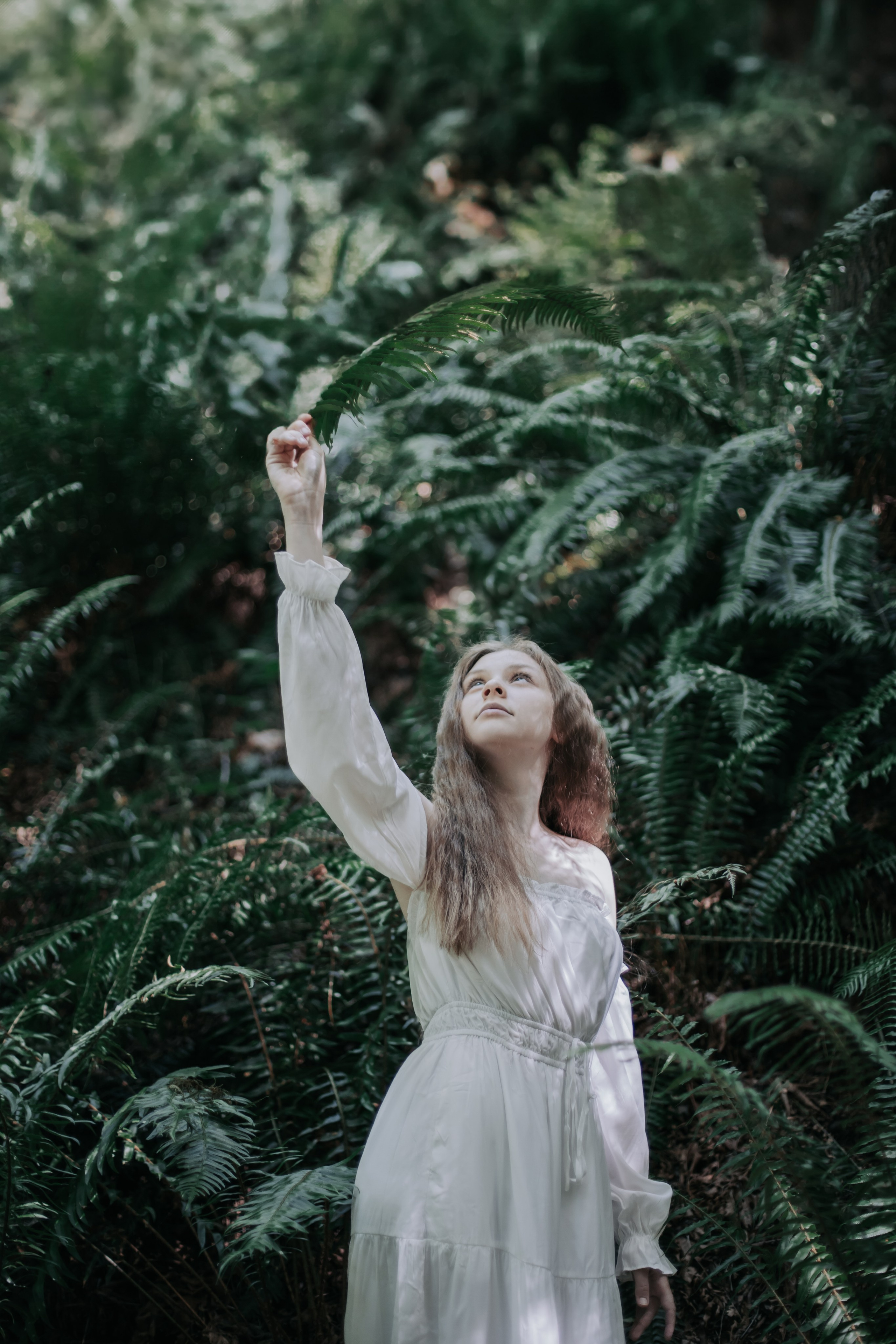 Washington. AnnVish photographer