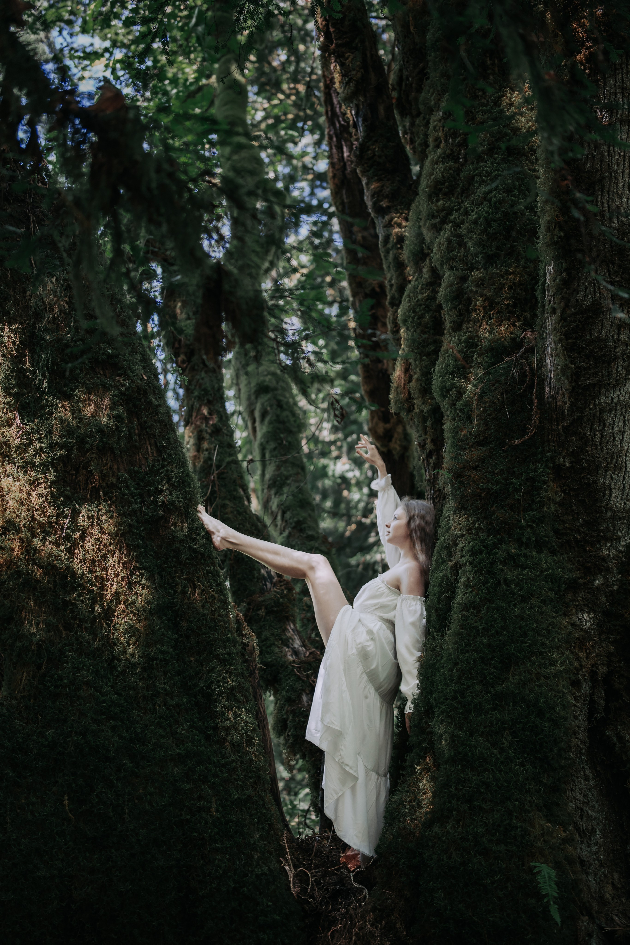 Washington. AnnVish photographer