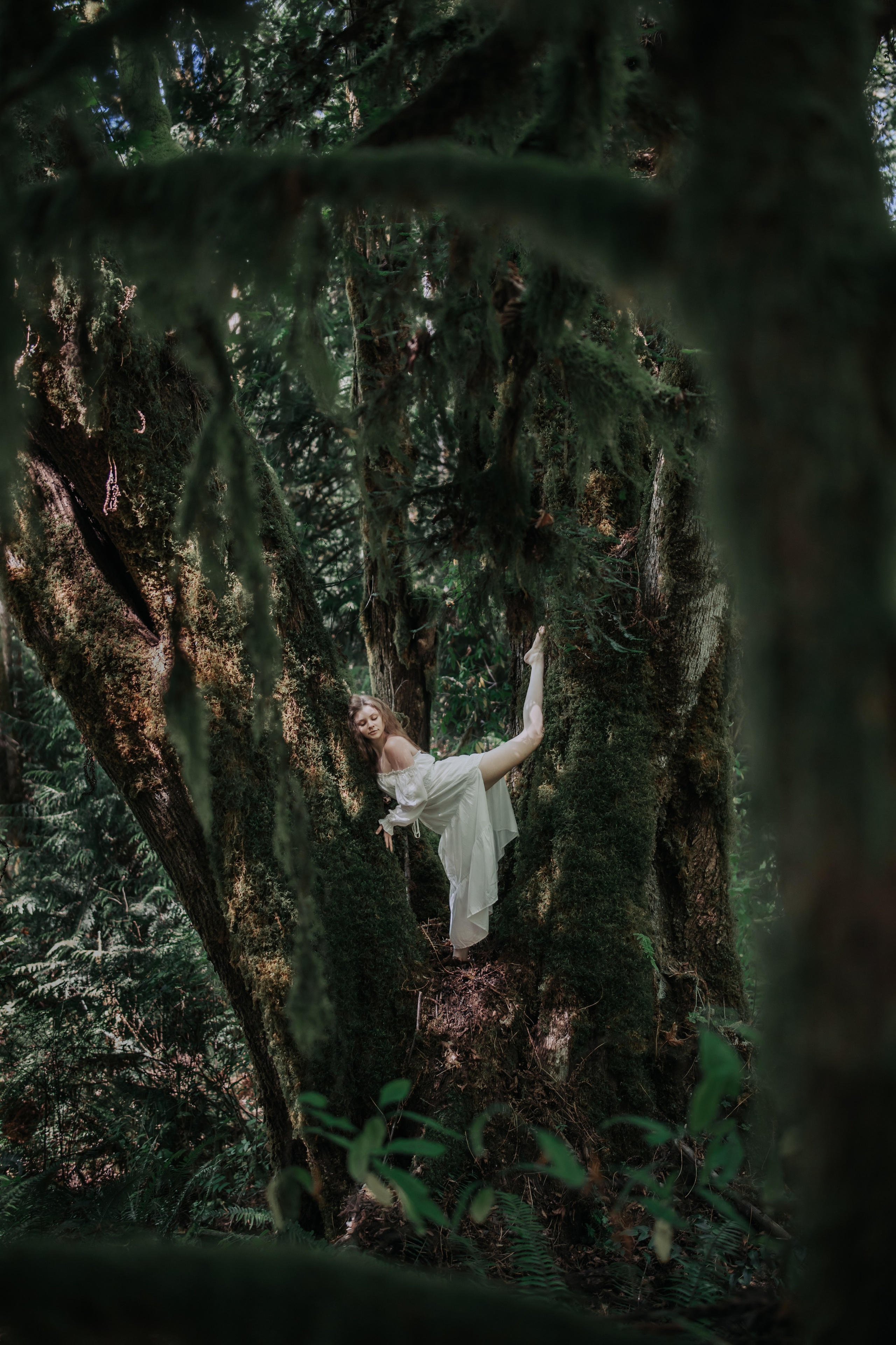 Washington. AnnVish photographer