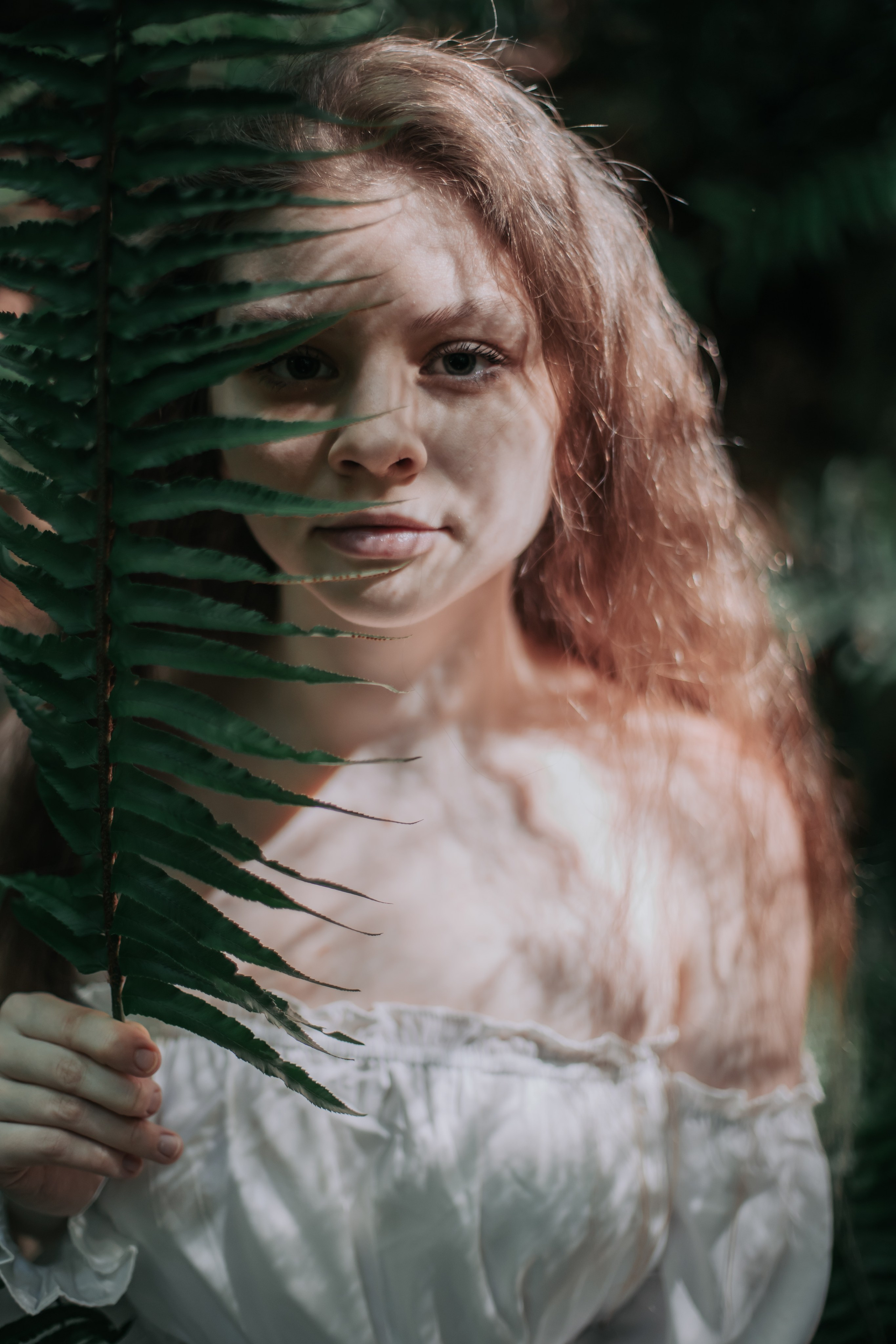 Washington. AnnVish photographer